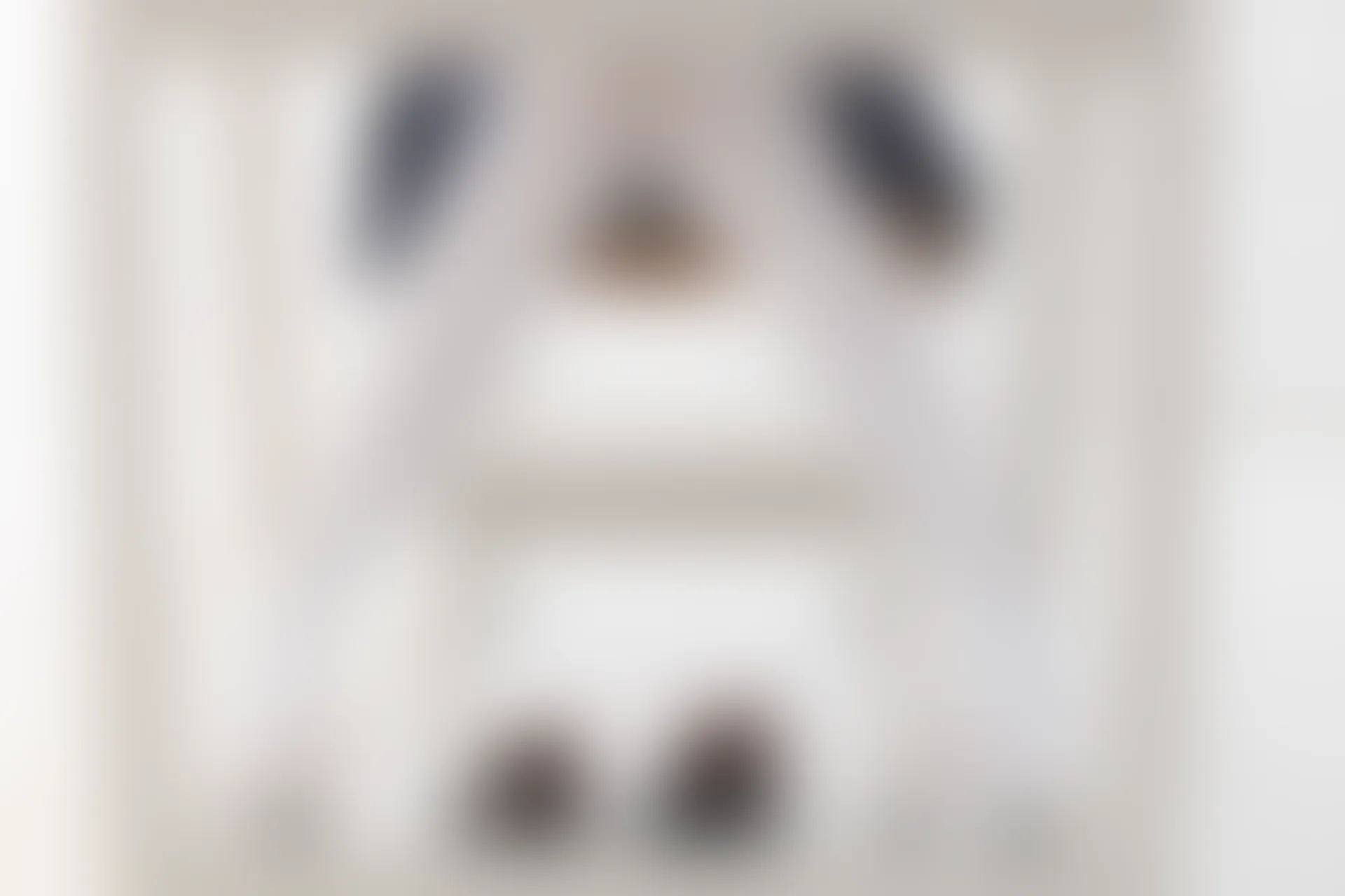 紧急企划 VOL.008 [108P1V-1.77G] 一只喵喵梓JK, JK制服, 一只喵喵梓, 制服, 学生装, 白丝, 紧急企划, 美腿, 美足