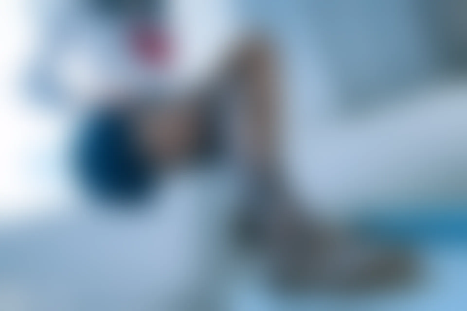 C24.005 和学姐的课后时光 [43P-323MB]