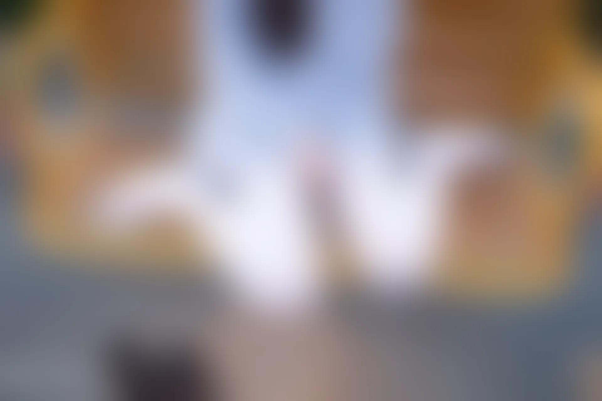 C08.007 幼稚园白丝 [40P-320MB]