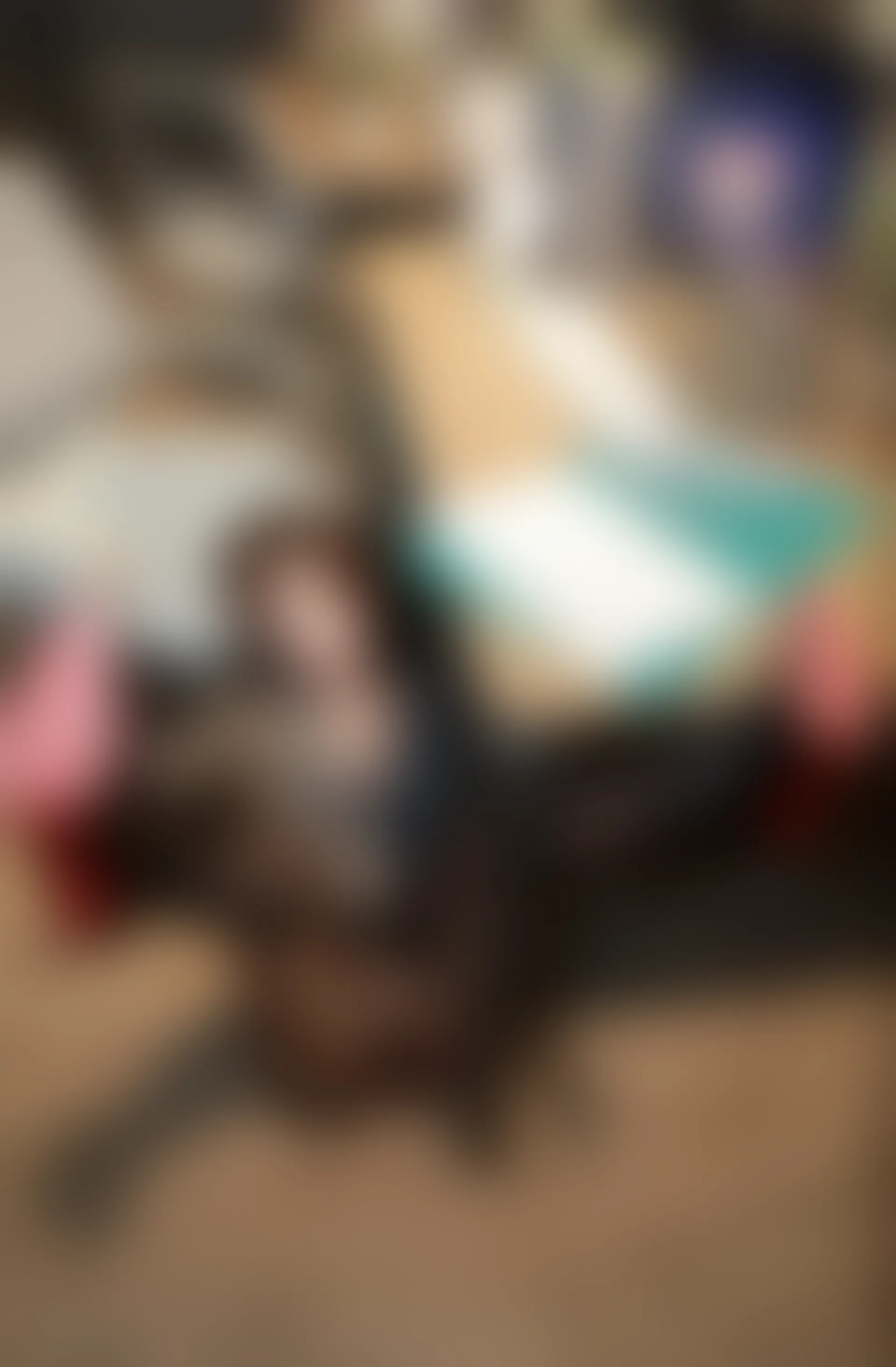 XIUREN秀人网 2024.01.09 NO.7932 小薯条nienie[95+1P／915MB]