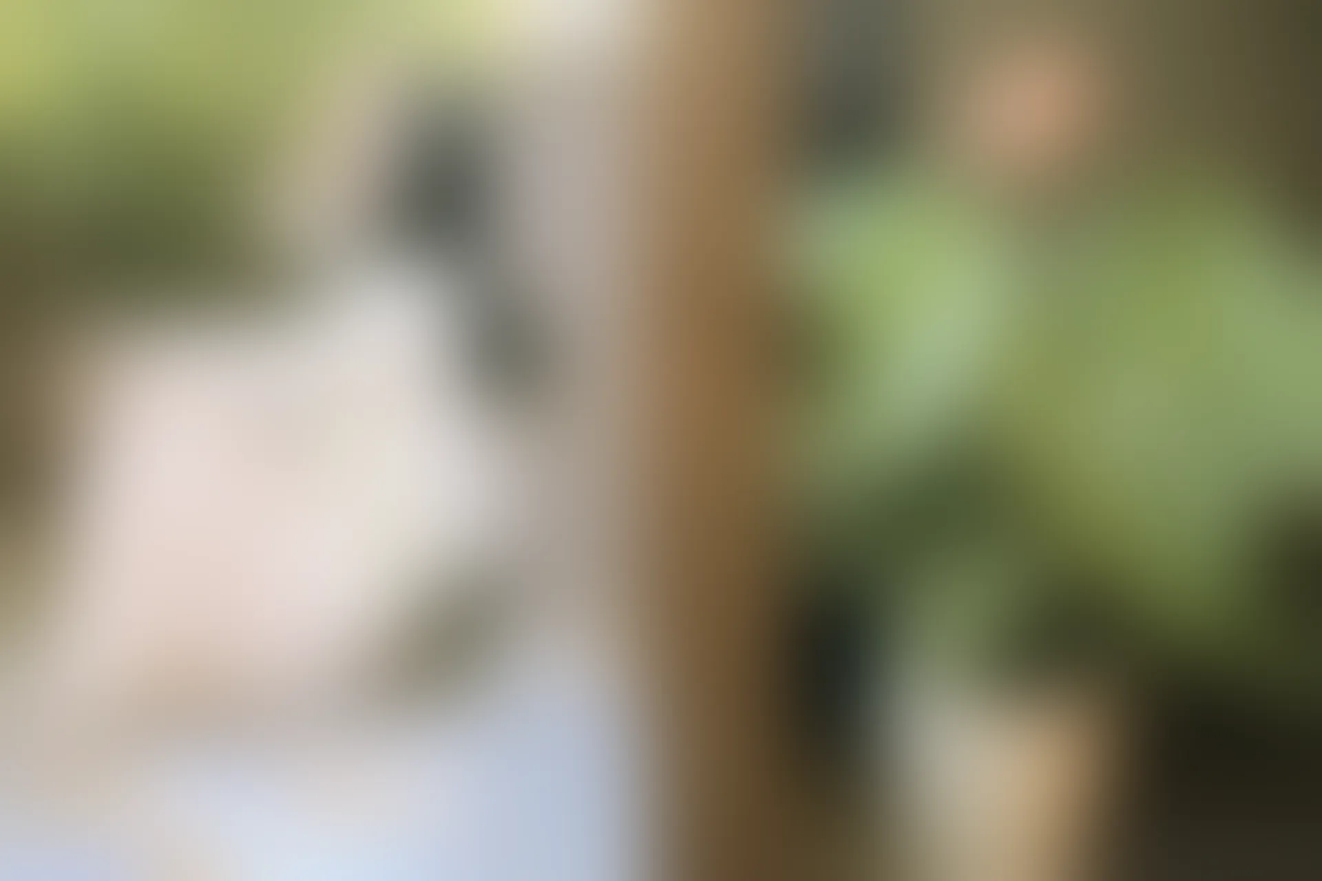 XiuRen秀人网 2015.07.17 No.355 鱼猫盾i[54+1P289M]