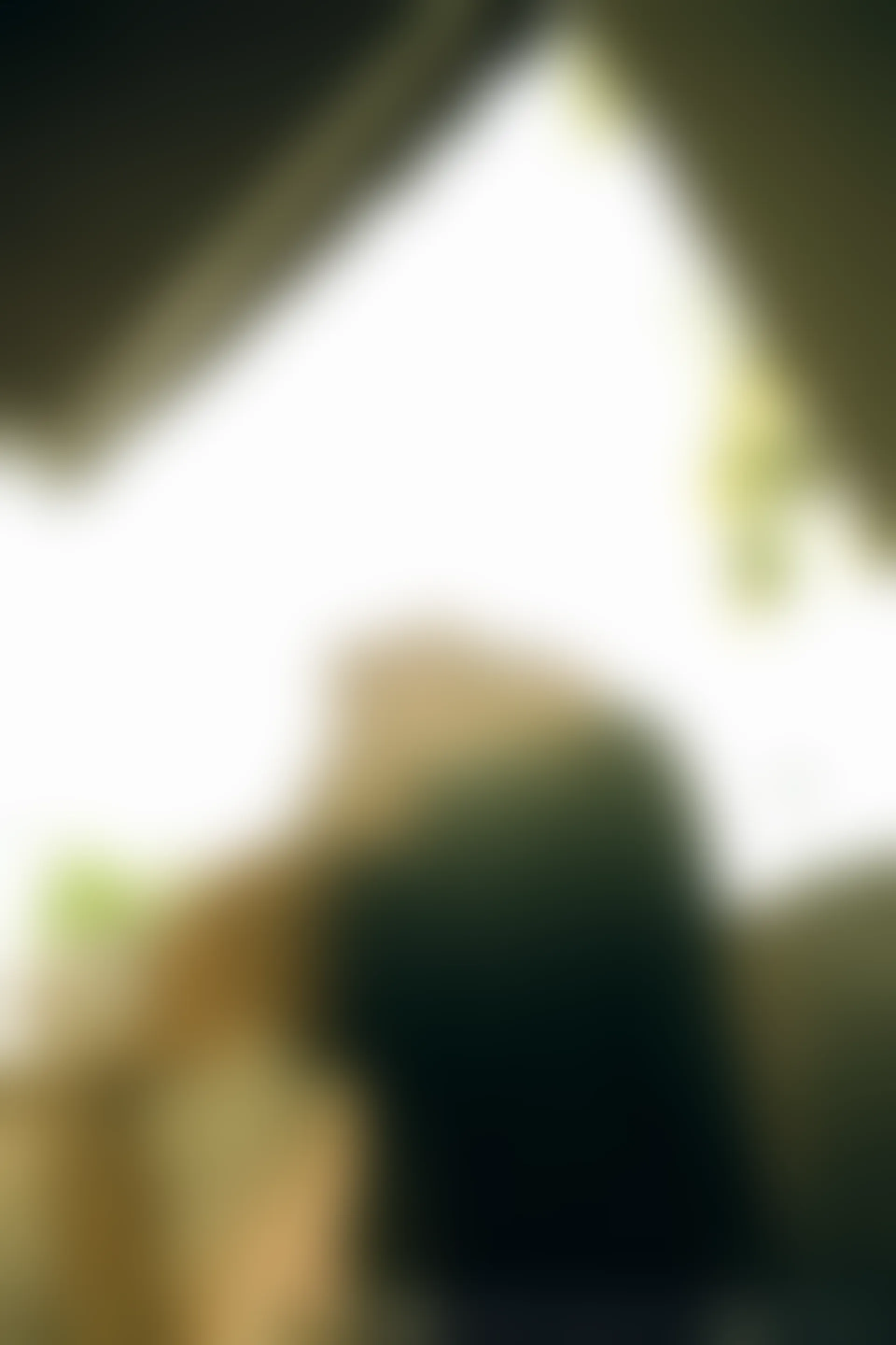 XiuRen秀人网 2015.07.17 No.355 鱼猫盾i[54+1P289M]