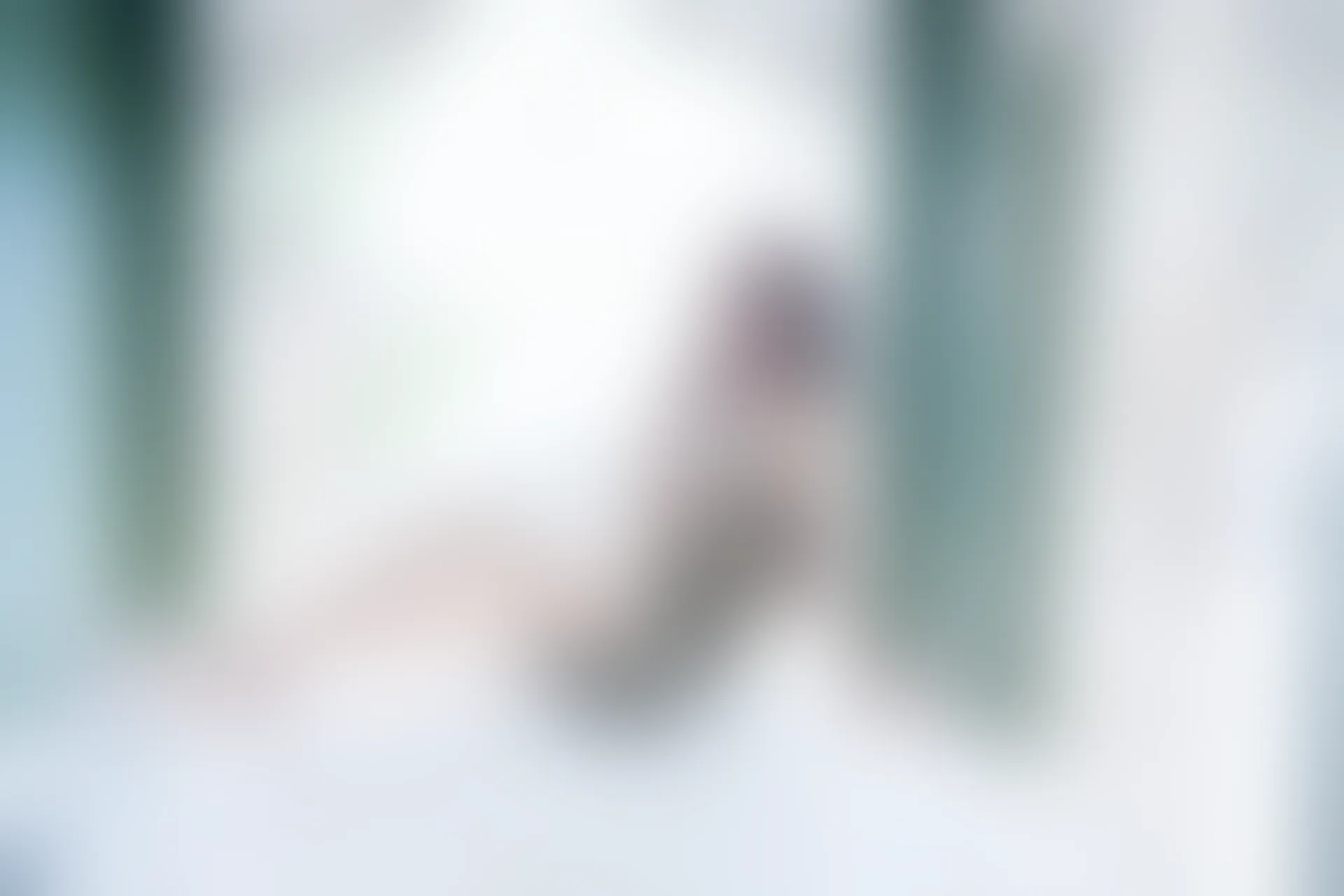 XIUREN秀人网 2023.09.05 NO.7339 Carol周妍希[85+1P／719MB]