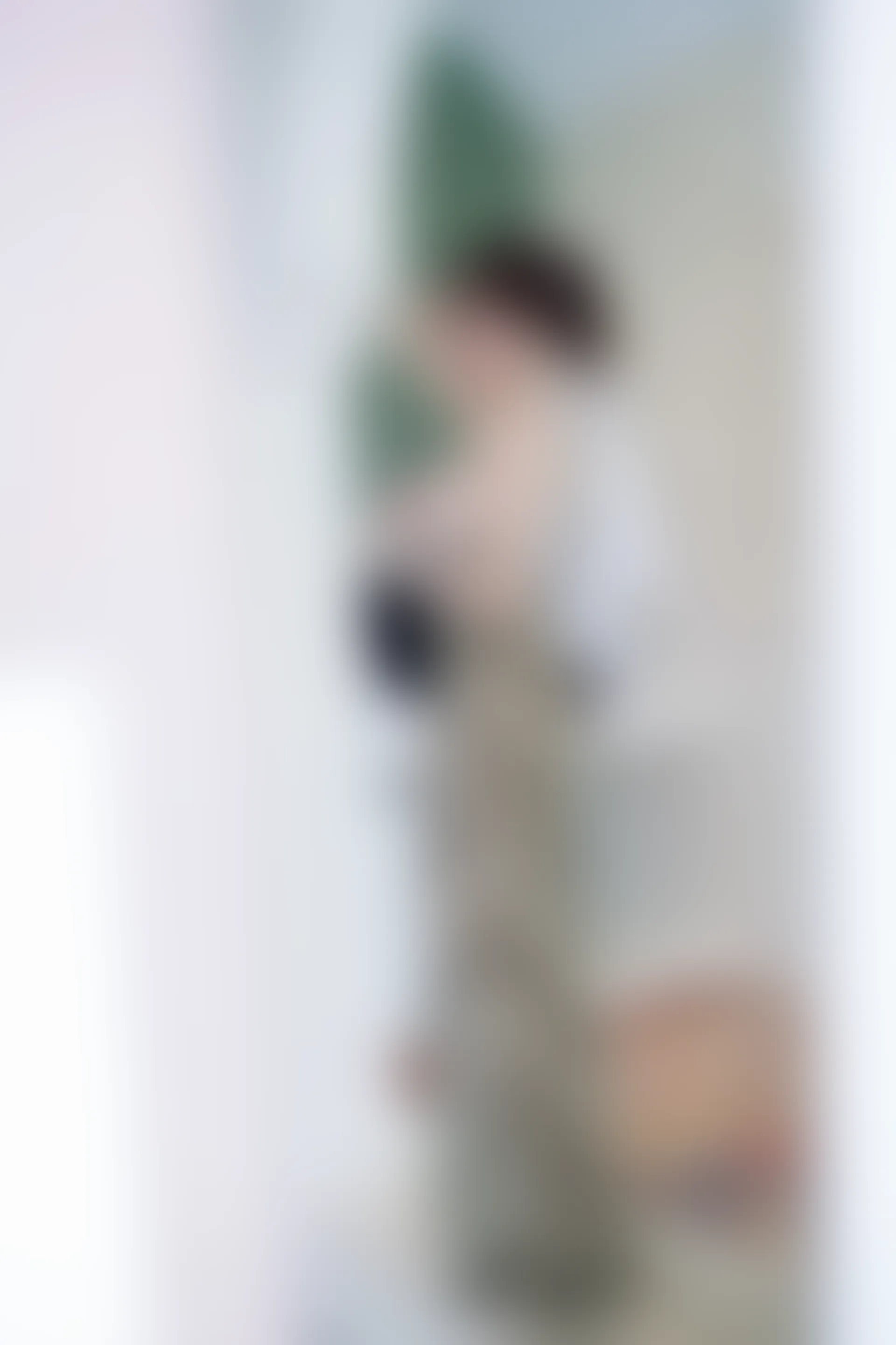 XIUREN秀人网 2023.09.05 NO.7339 Carol周妍希[85+1P／719MB]