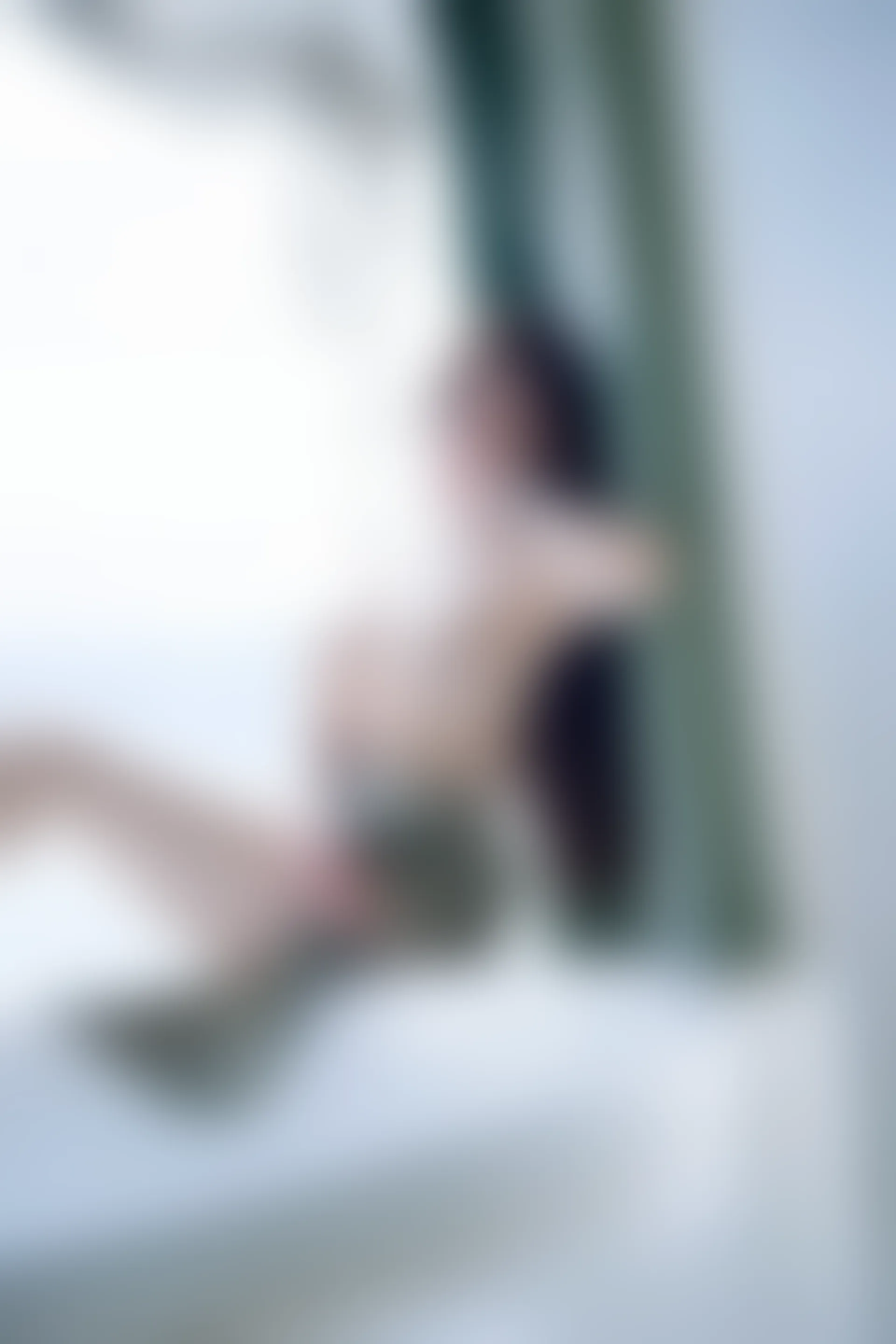 XIUREN秀人网 2023.09.05 NO.7339 Carol周妍希[85+1P／719MB]