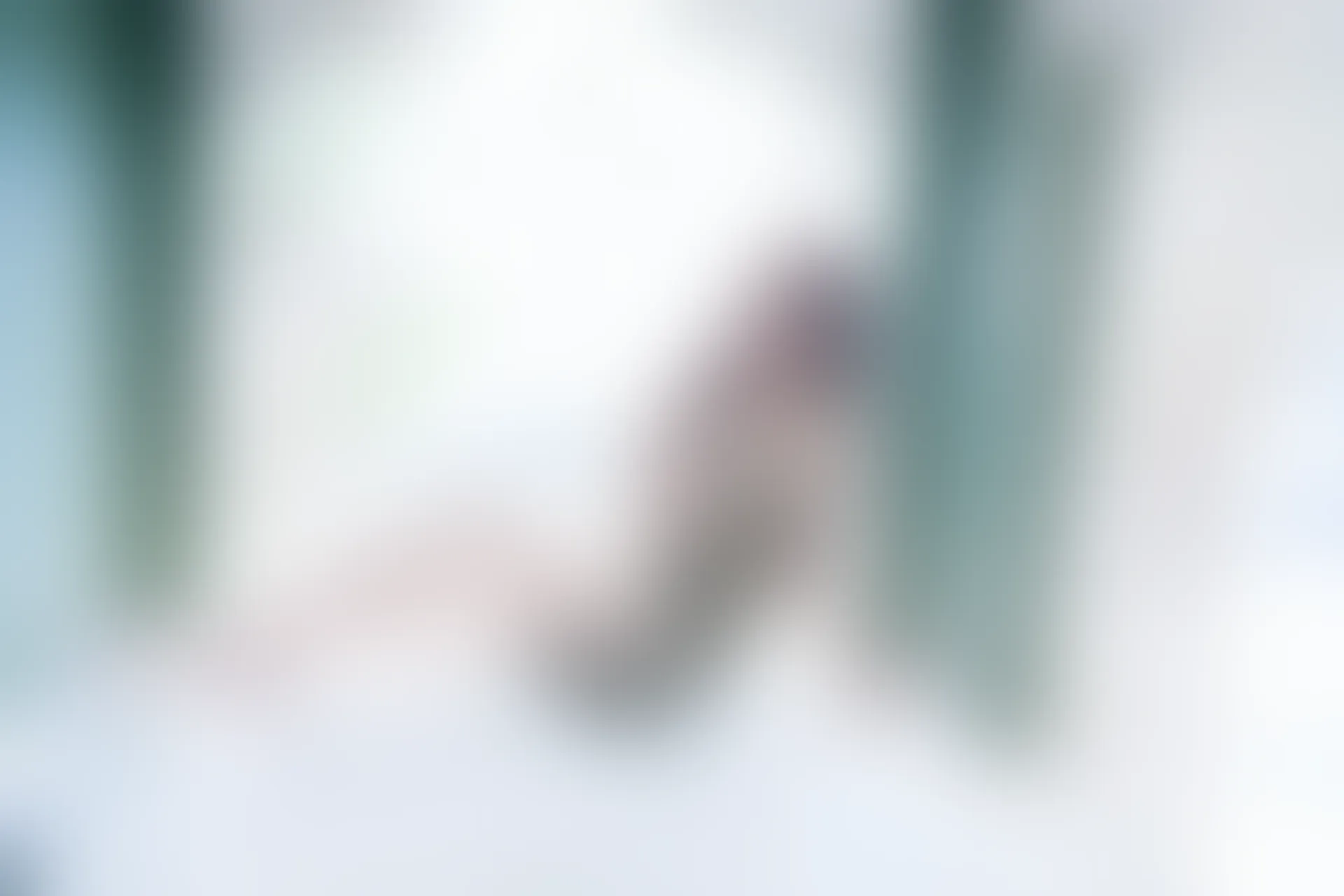 XIUREN秀人网 2023.09.05 NO.7339 Carol周妍希[85+1P／719MB]