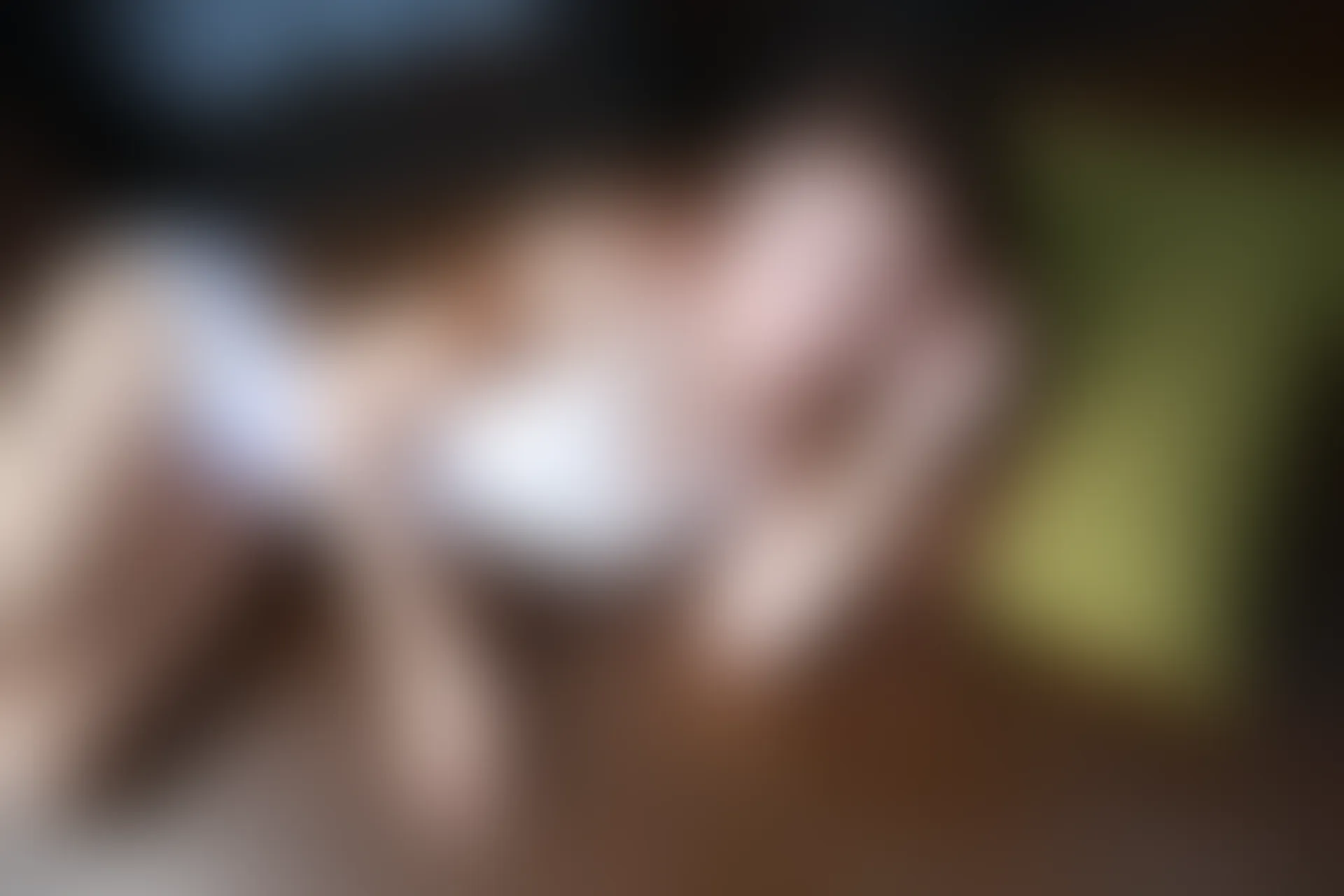 XiuRen秀人网 2014.05.30 No.145 叶籽亿[51P195MB]