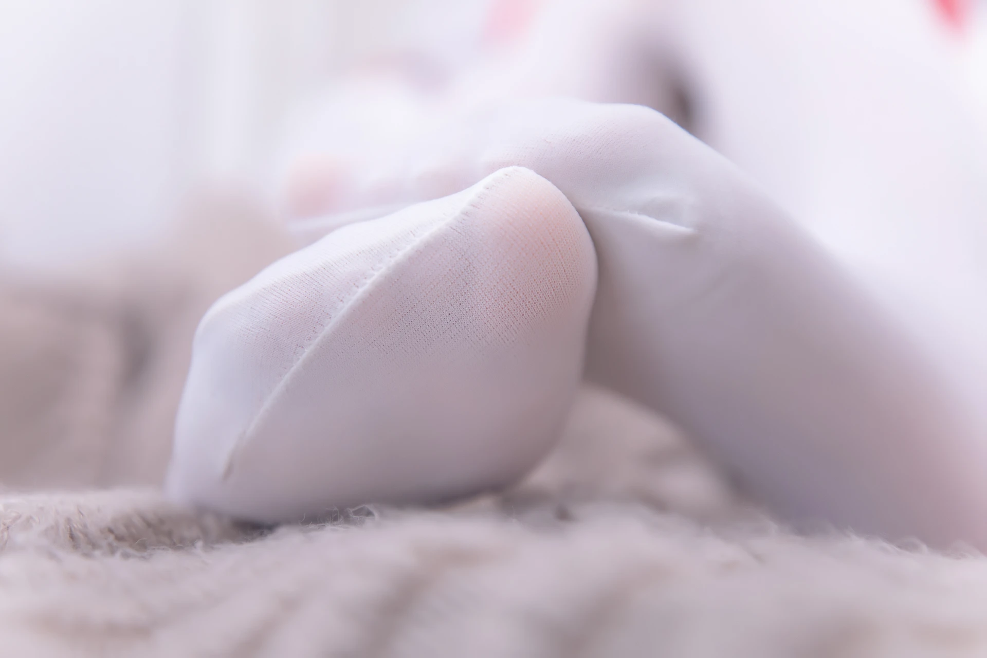 神楽坂真冬 第四季 序号9：《白丝胡桃》 [75P-160MB]内衣, 白丝, 神楽坂真冬, 美腿, 美足