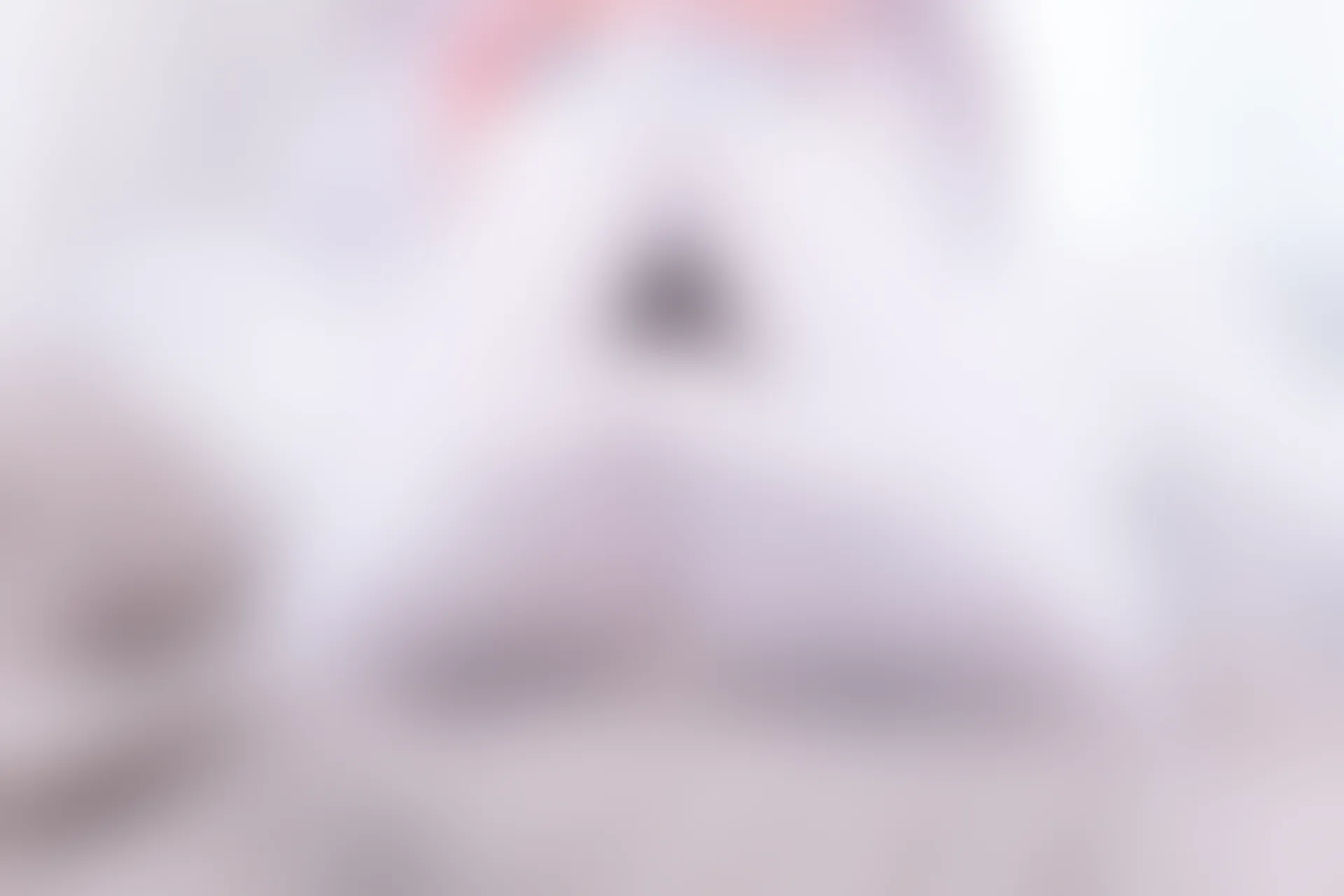 神楽坂真冬 第四季 序号9：《白丝胡桃》 [75P-160MB]内衣, 白丝, 神楽坂真冬, 美腿, 美足