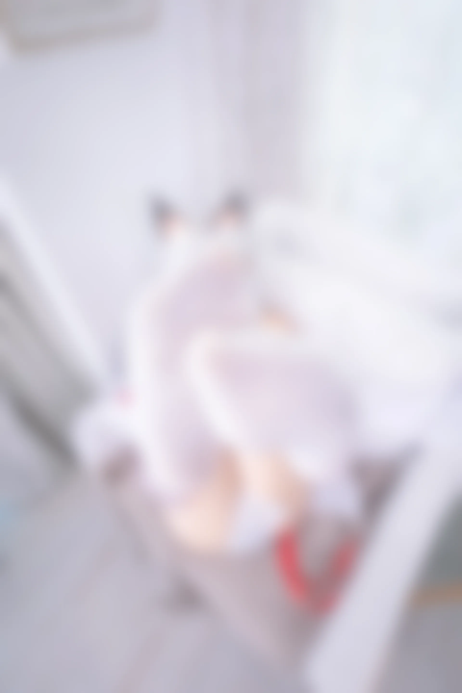 神楽坂真冬 第四季 序号9：《白丝胡桃》 [75P-160MB]内衣, 白丝, 神楽坂真冬, 美腿, 美足