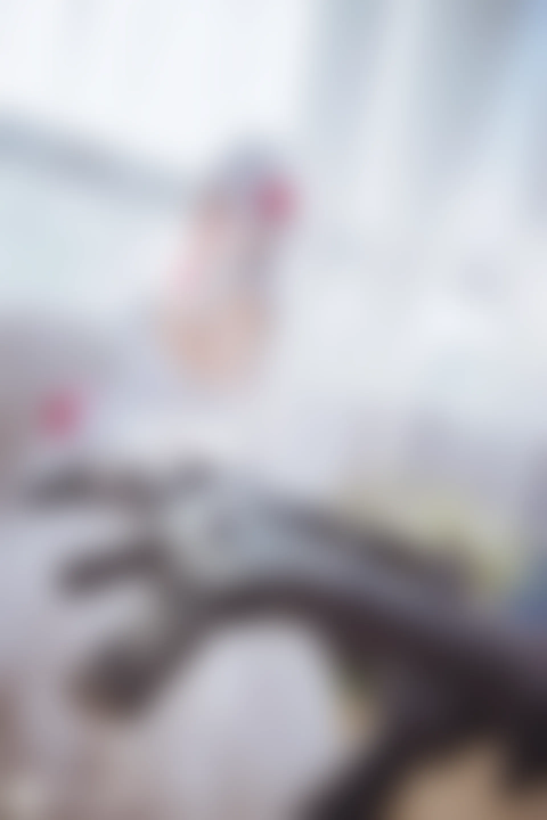 C25.005 少女前线花嫁 [40P-477MB]