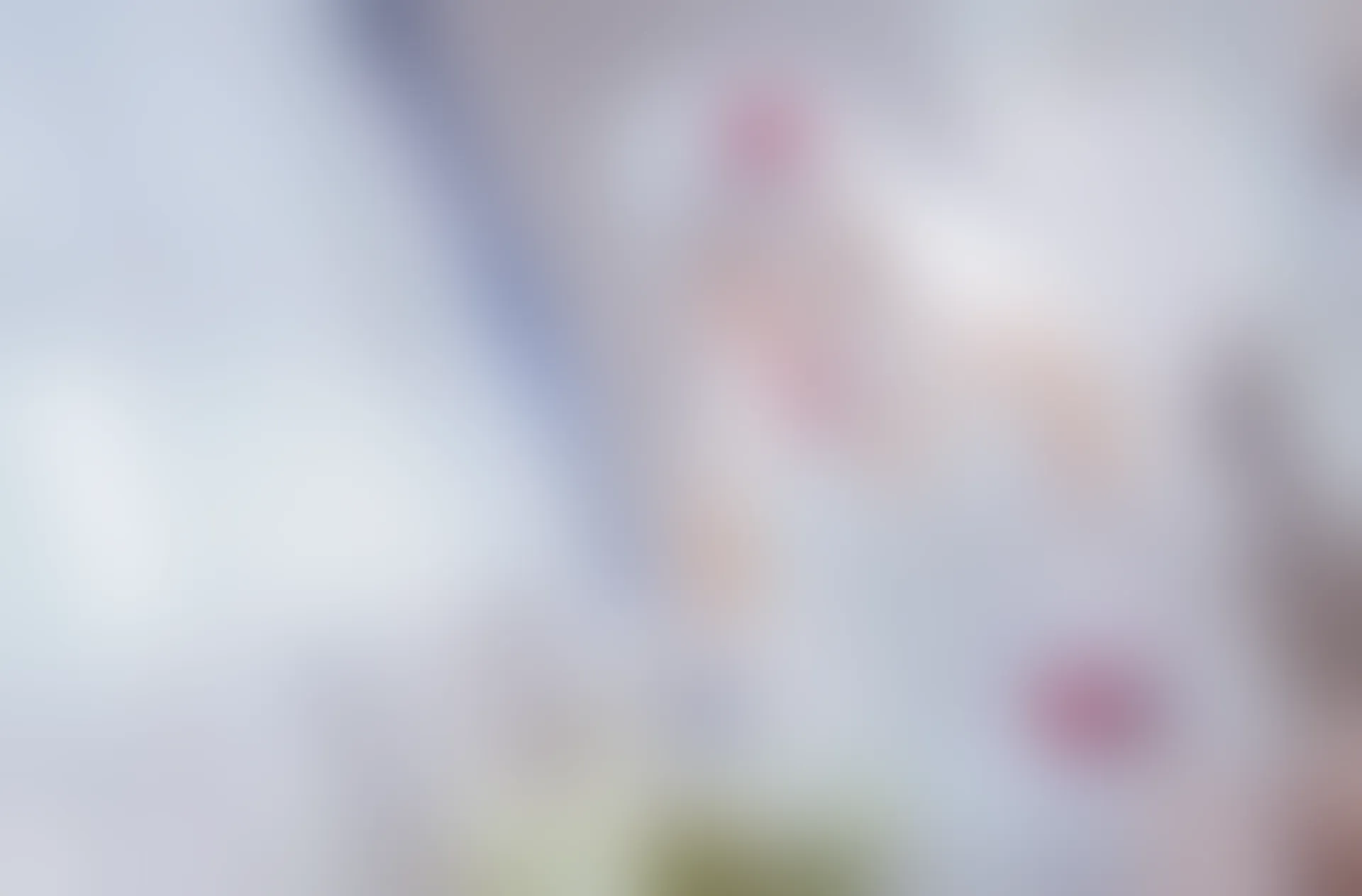 C25.005 少女前线花嫁 [40P-477MB]