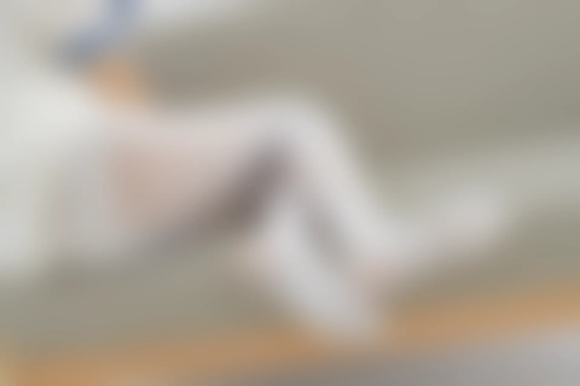 森萝财团 内部-002 白丝双马尾 [122P-1.68GB]