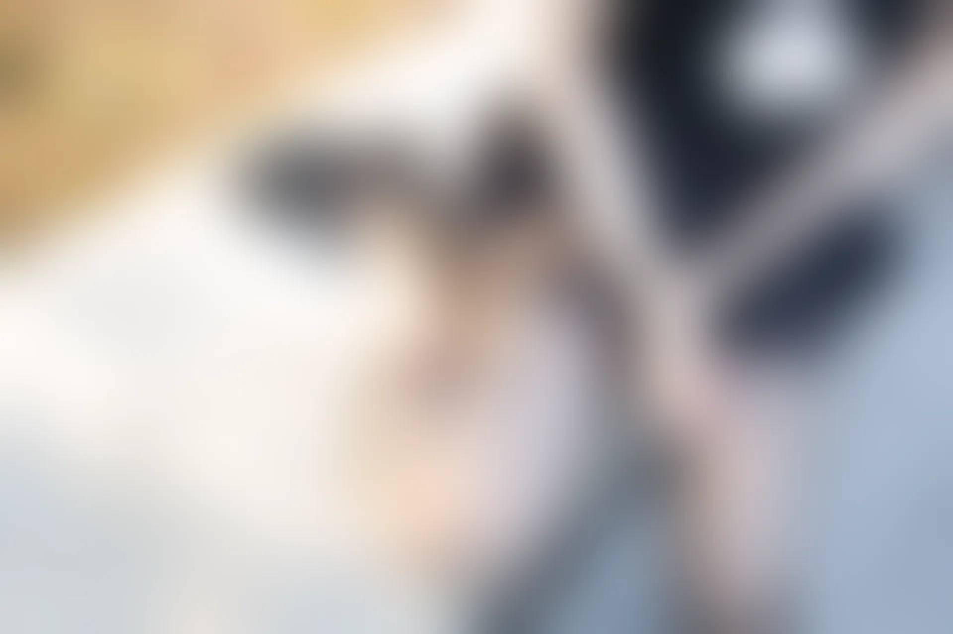 D53.006 黄昏下的黑丝 [40P-108MB]