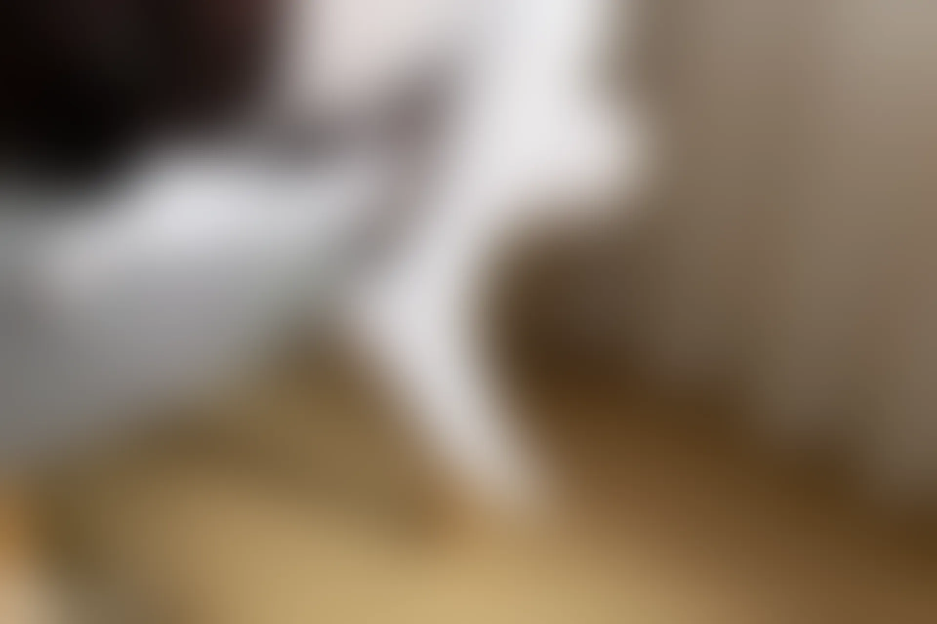 C41.001 白丝和制服裙 [40P-85MB]