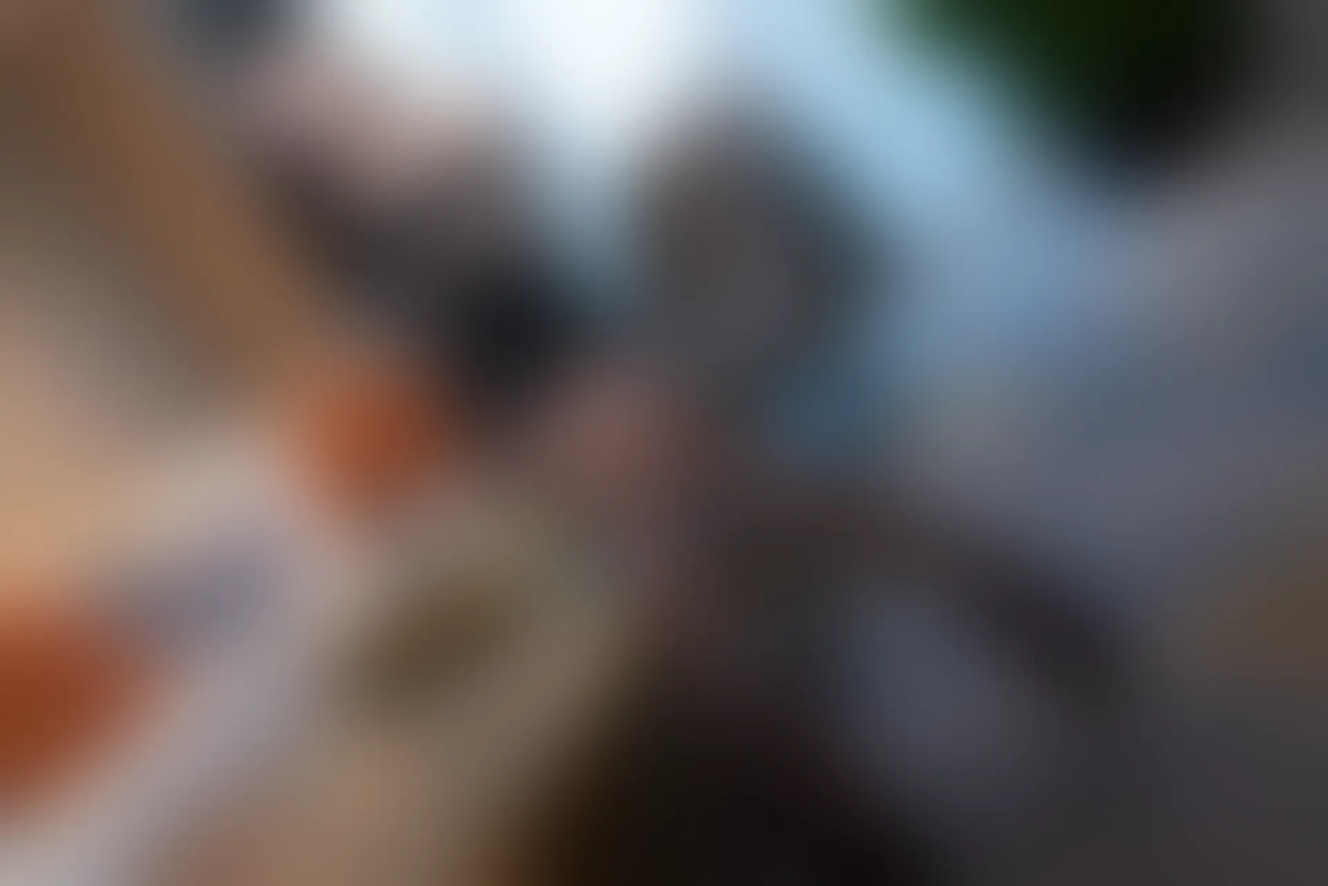 XiuRen秀人网 2021.12.17 No.4354 周于希Sally 黑丝美腿[81+1P 792MB]