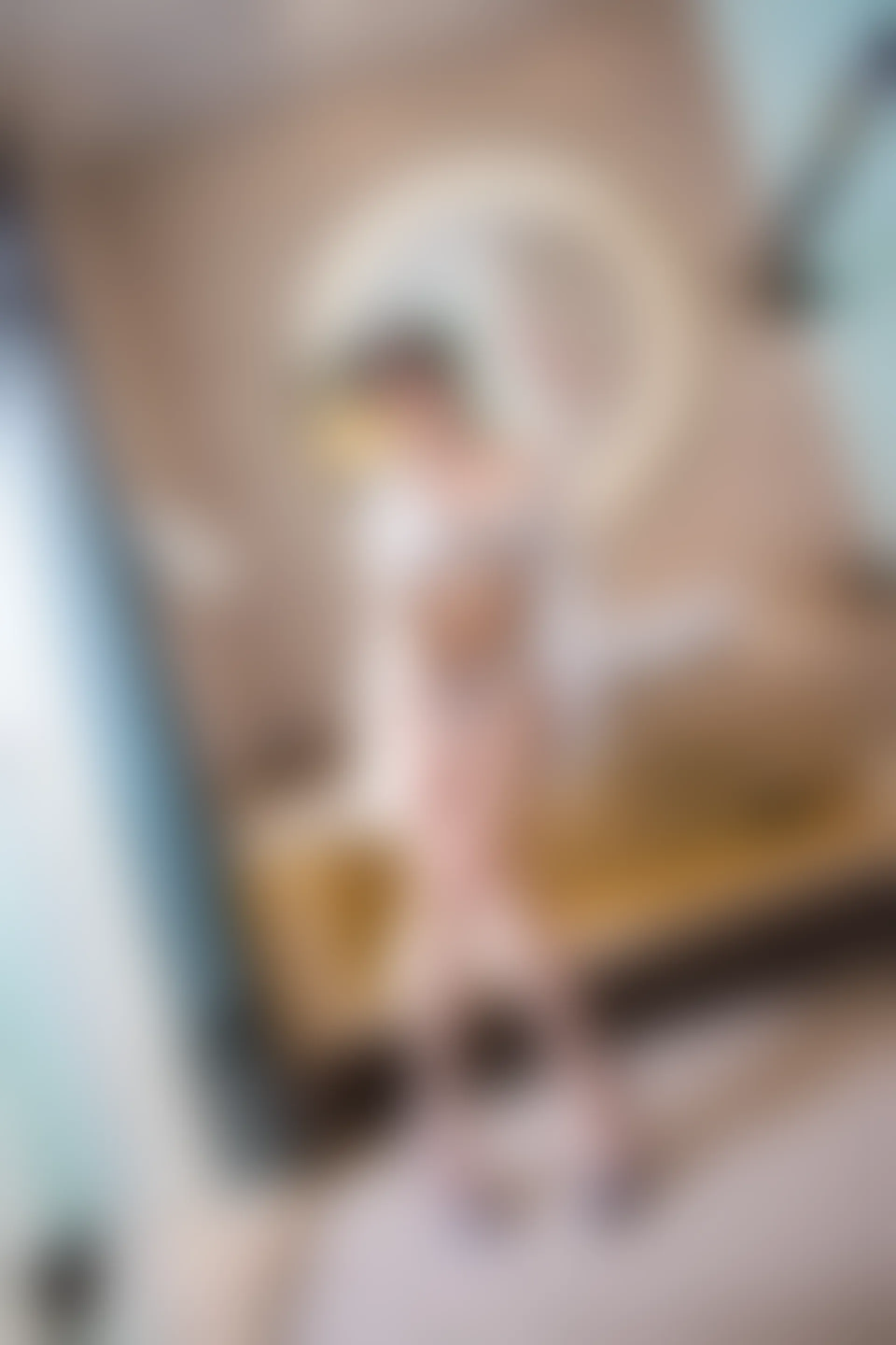 XiuRen秀人网 2018.06.01 No.1033 杨晨晨sugar[53+1P234M]