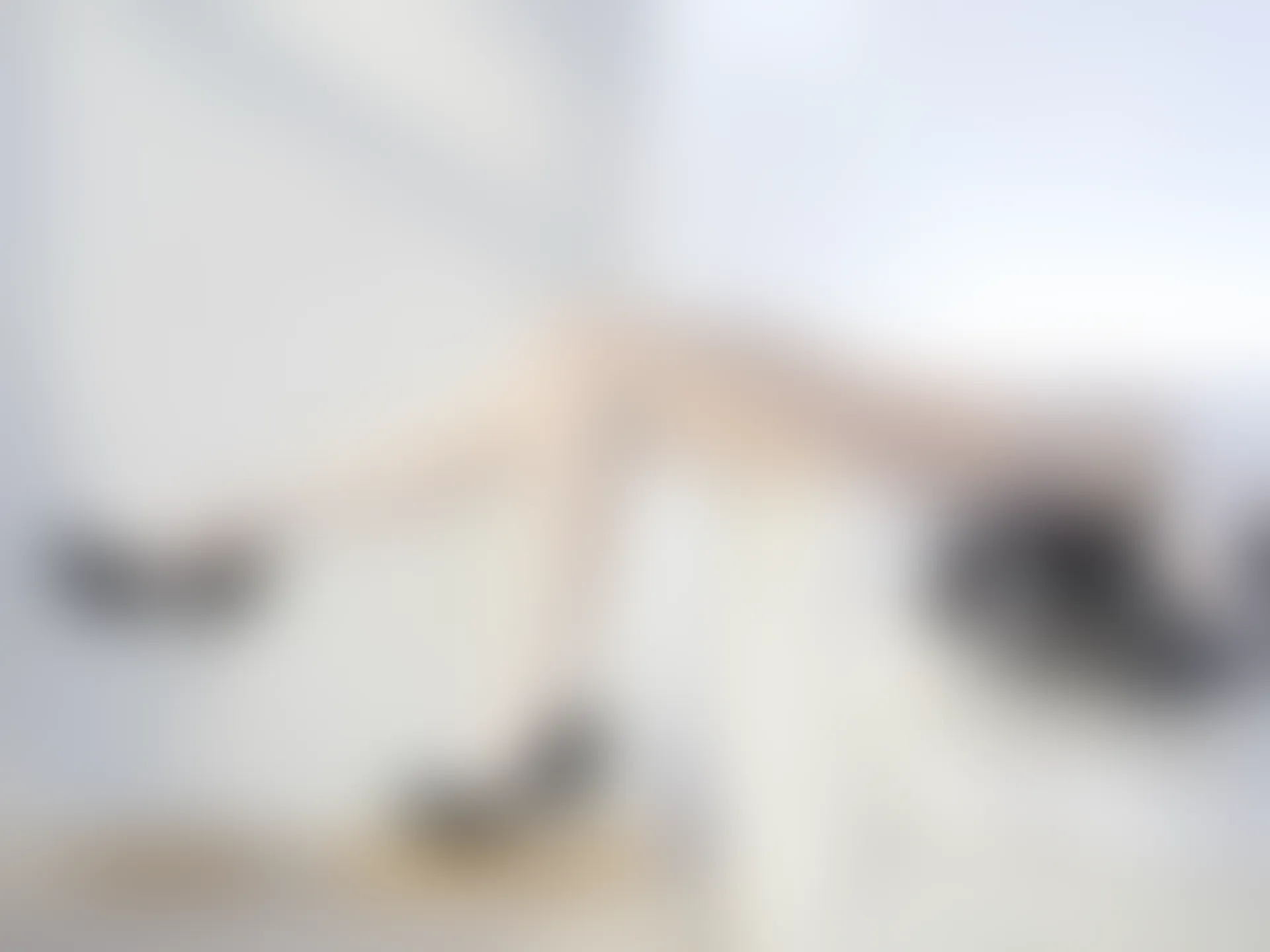 森萝财团 晴涩-12E 4K 双马尾白丝女仆 [99P1V-7.09GB]