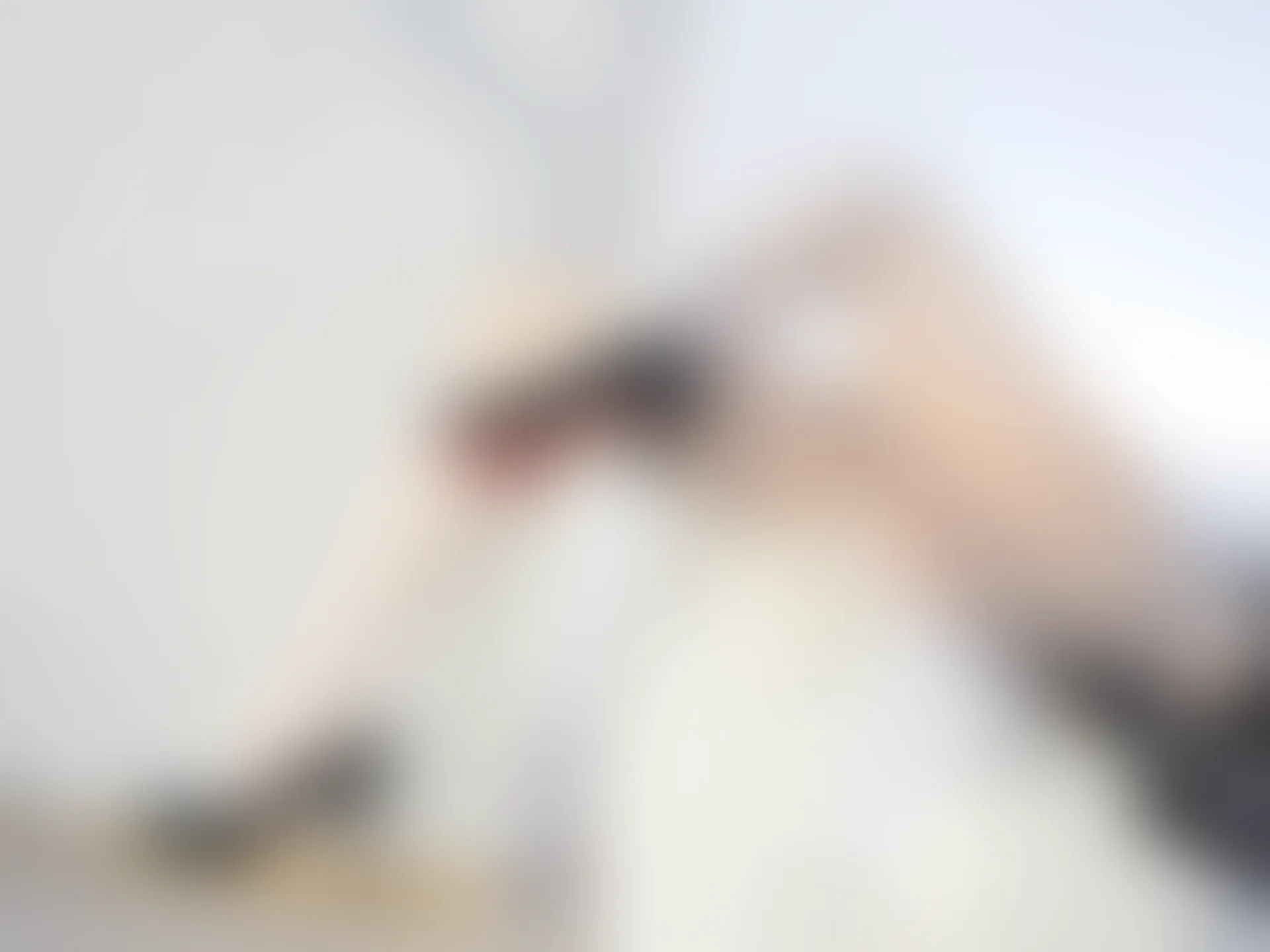 森萝财团 晴涩-12E 4K 双马尾白丝女仆 [99P1V-7.09GB]