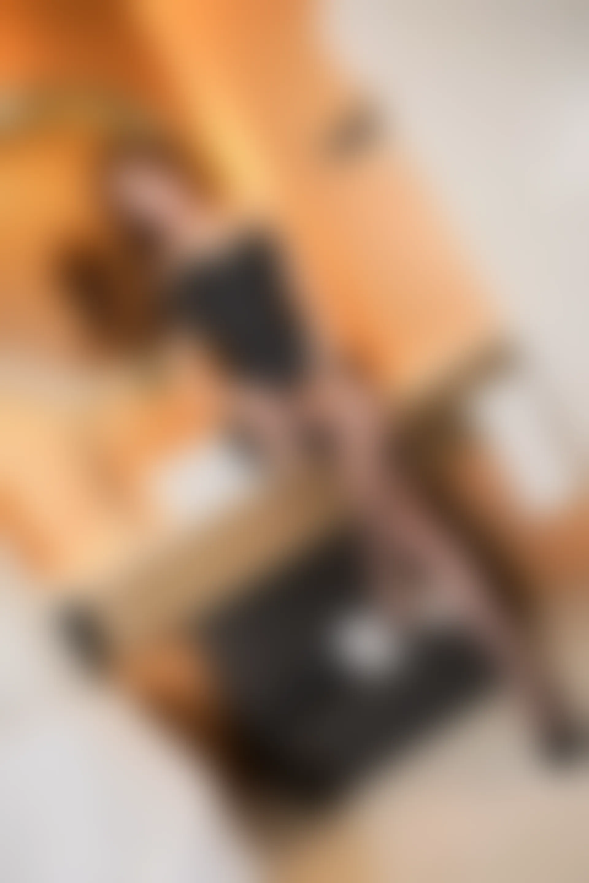 [MiCat猫萌榜] 2017.12.07 VOL.035 土肥圆矮挫穷 [45+1P／213M]