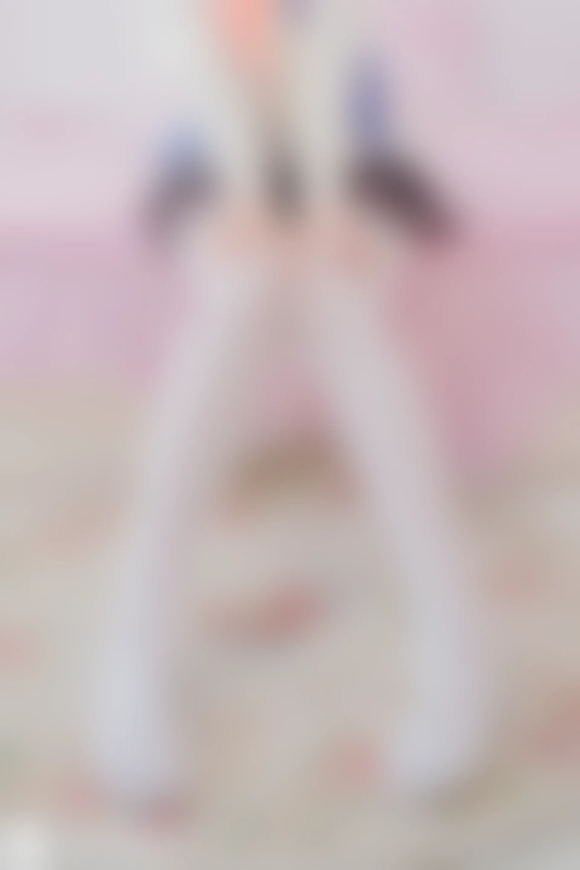 D53.003 独角兽校服 [40P-314MB]
