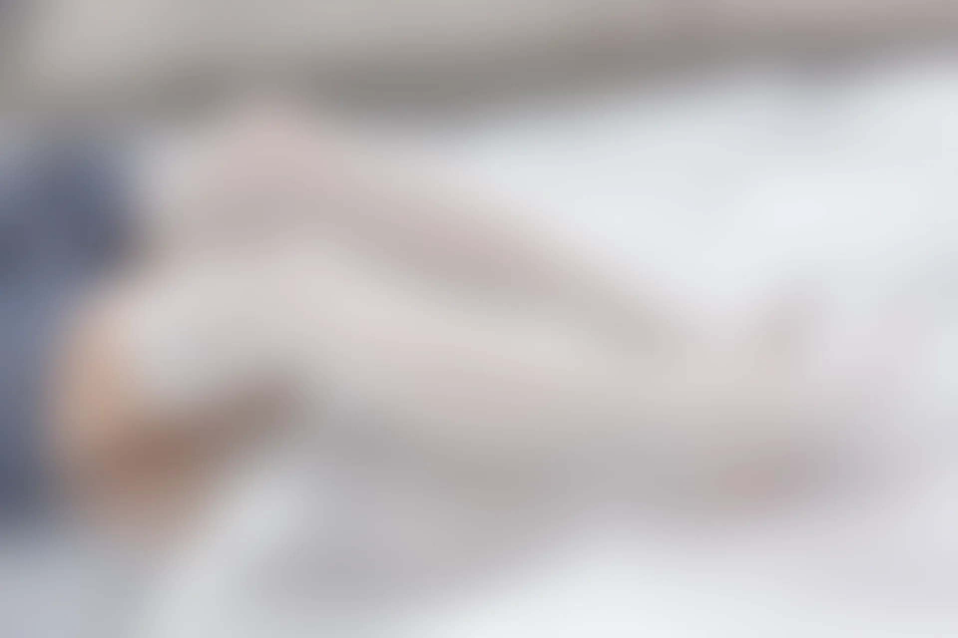 森萝财团 R15-039 [88P-772M]学生装, 森萝财团, 白丝, 美腿