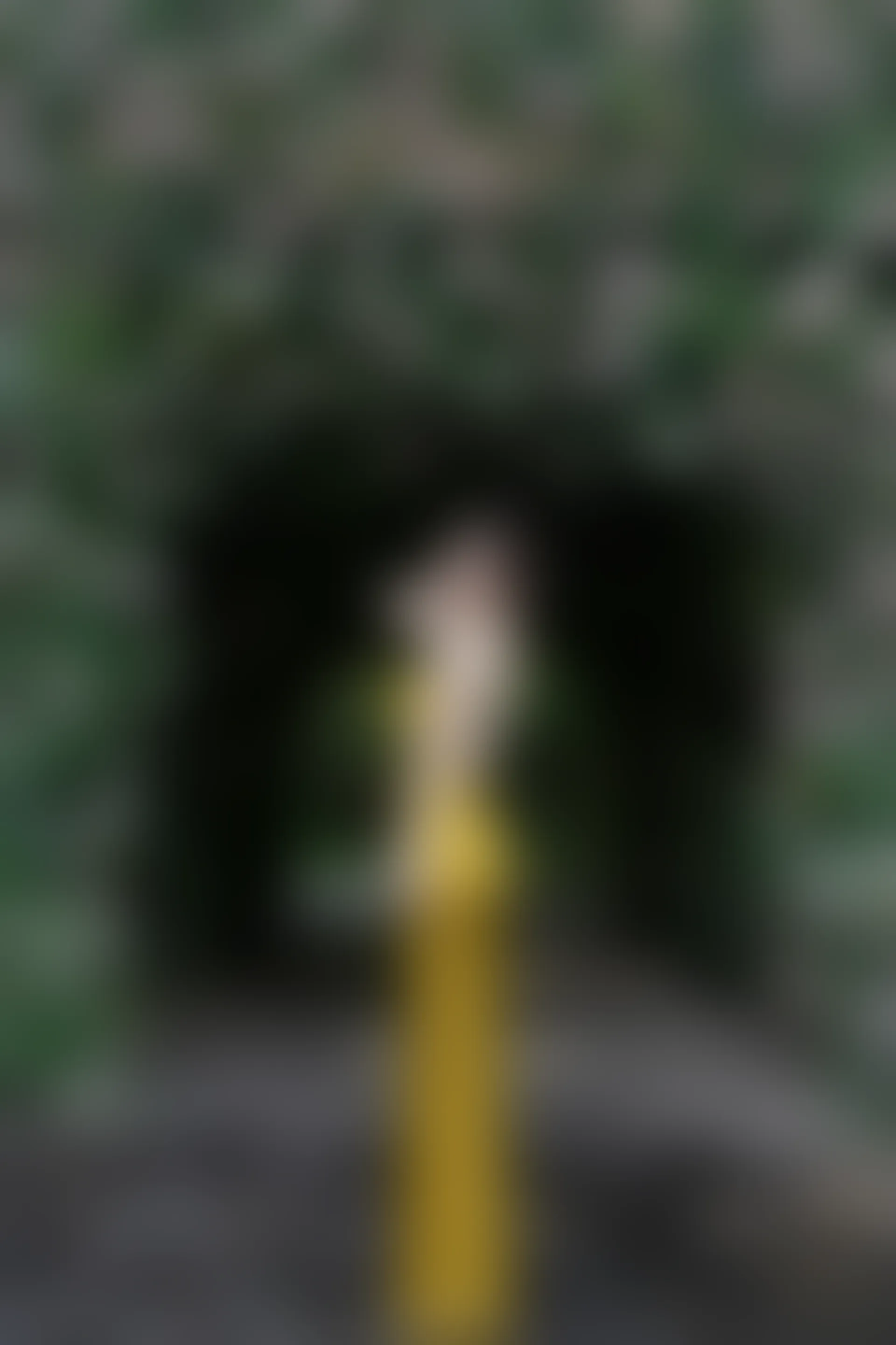 XIUREN秀人网 2023.08.29 NO.7302 诗诗kiki[83+1P／780MB]