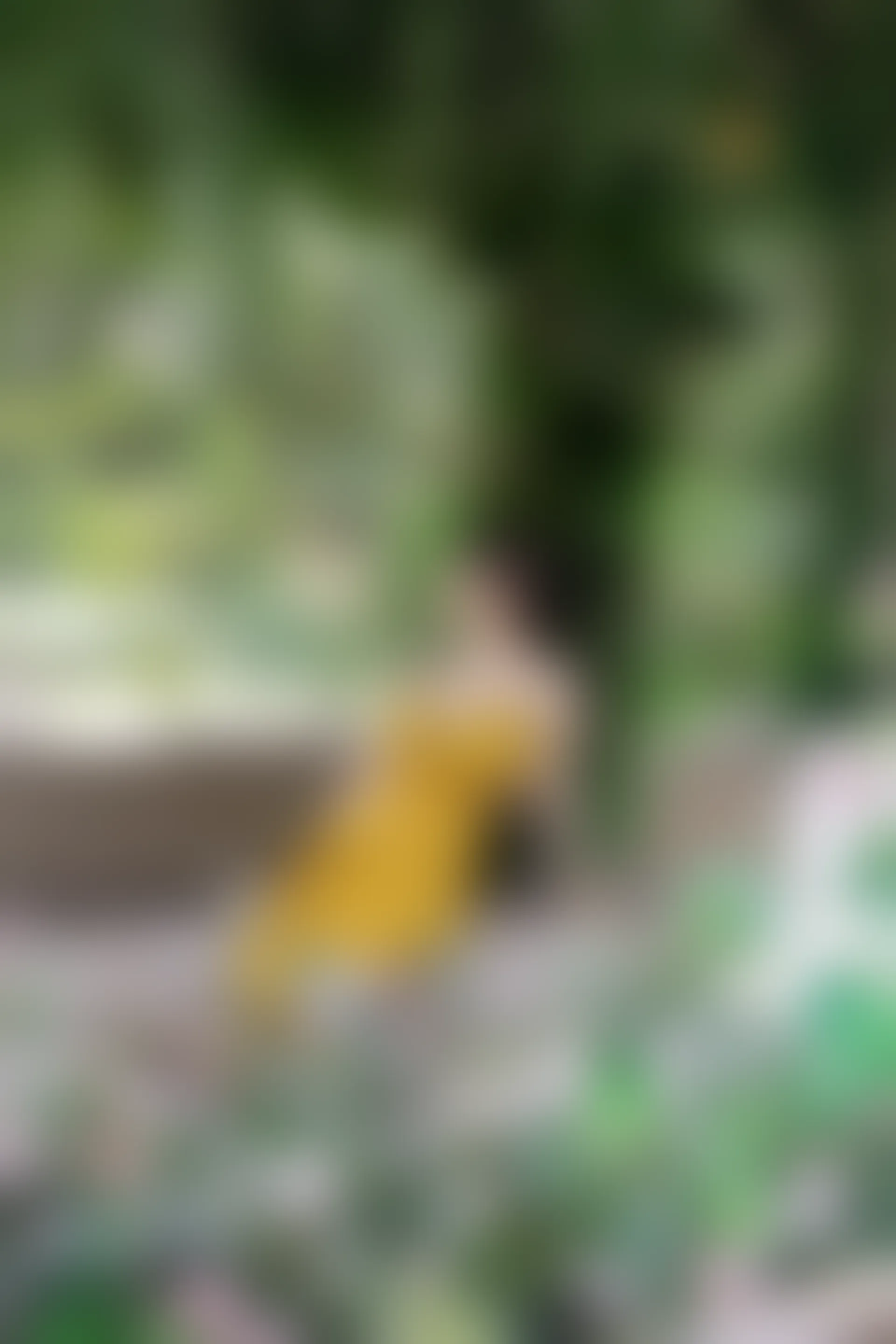 XIUREN秀人网 2023.08.29 NO.7302 诗诗kiki[83+1P／780MB]