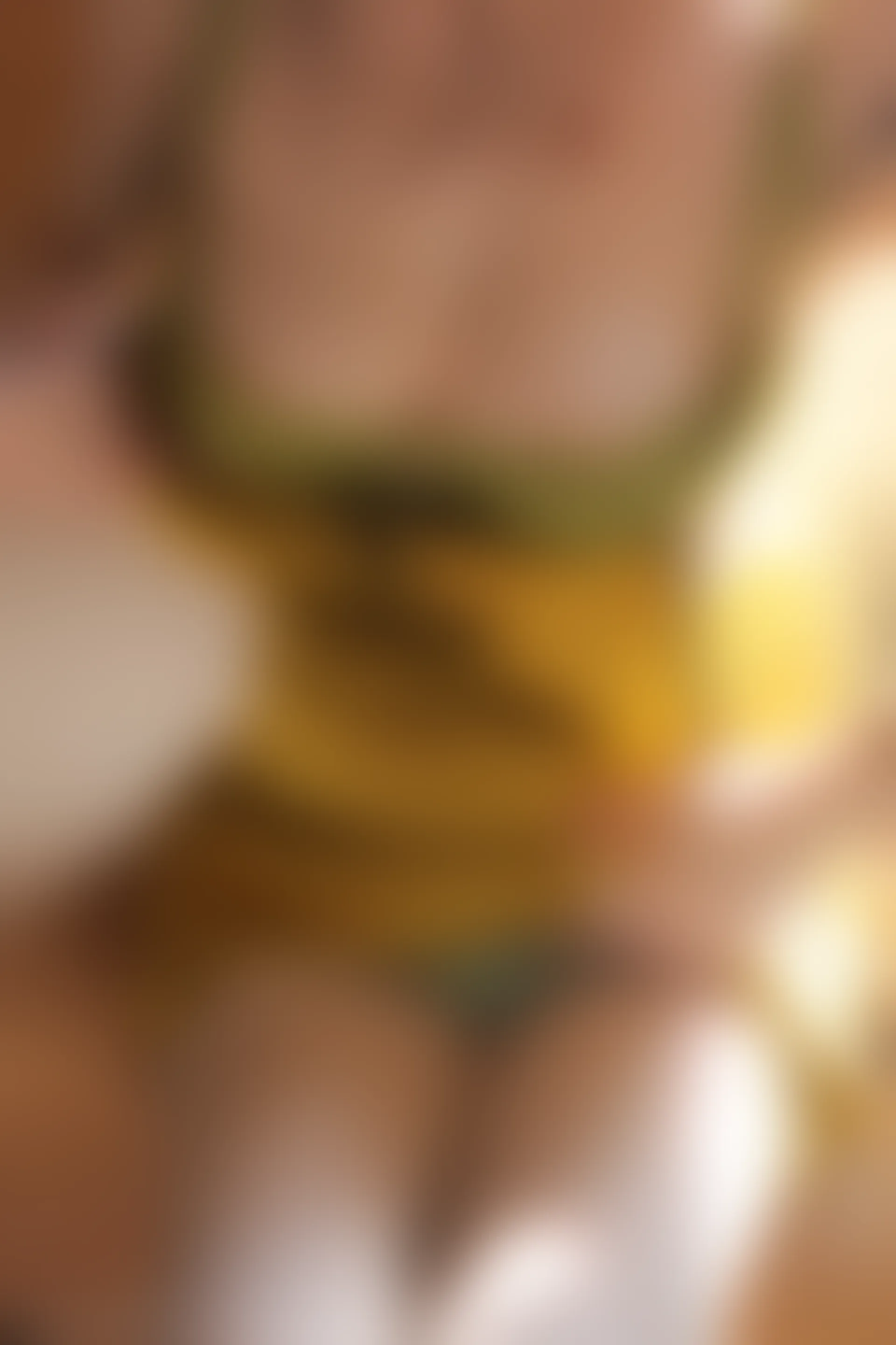 XIUREN秀人网 2023.08.29 NO.7302 诗诗kiki[83+1P／780MB]