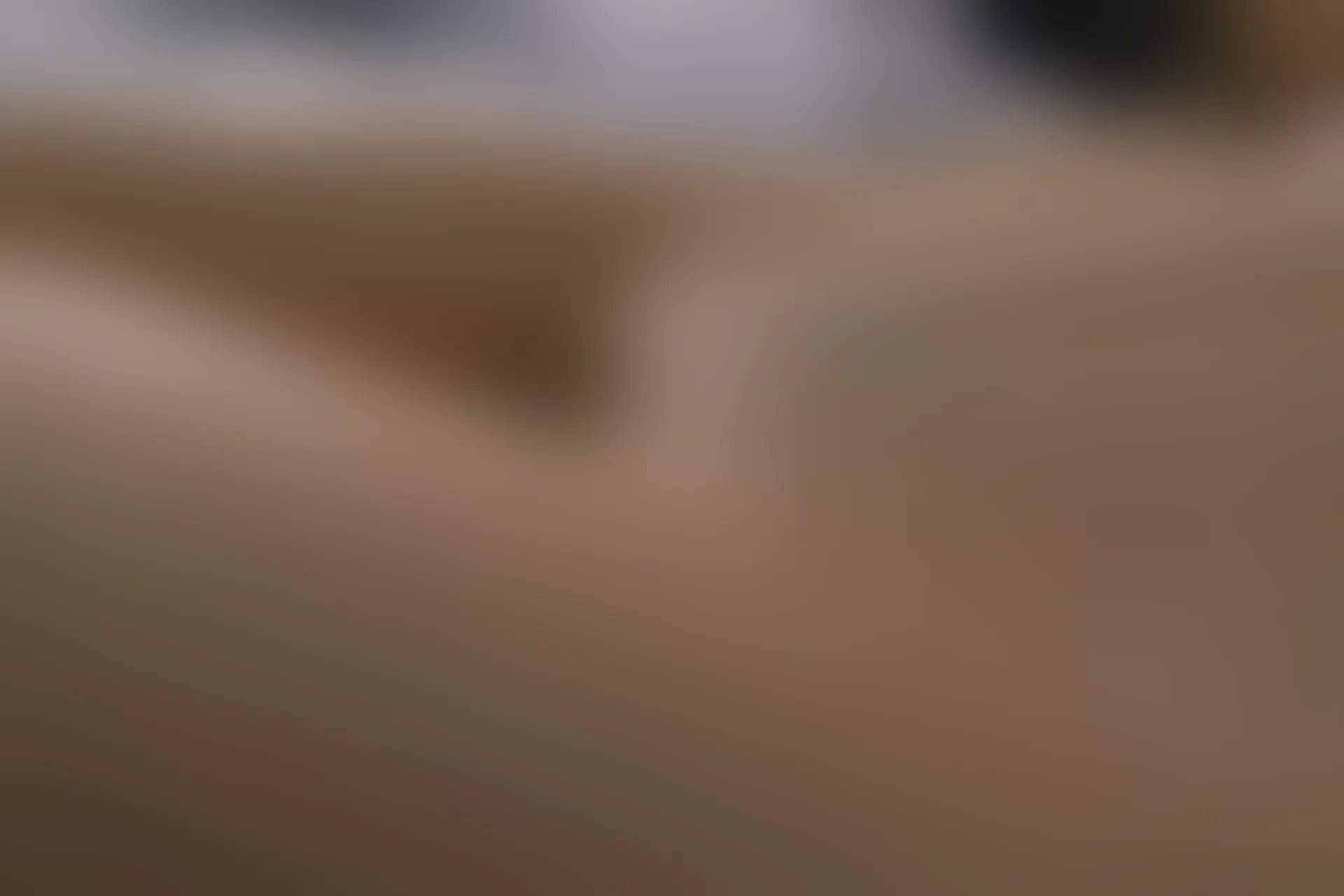 森萝财团 内部VIP系列 雏菊-06 白丝+肉丝 双马尾 [125P1V-5.2GB]