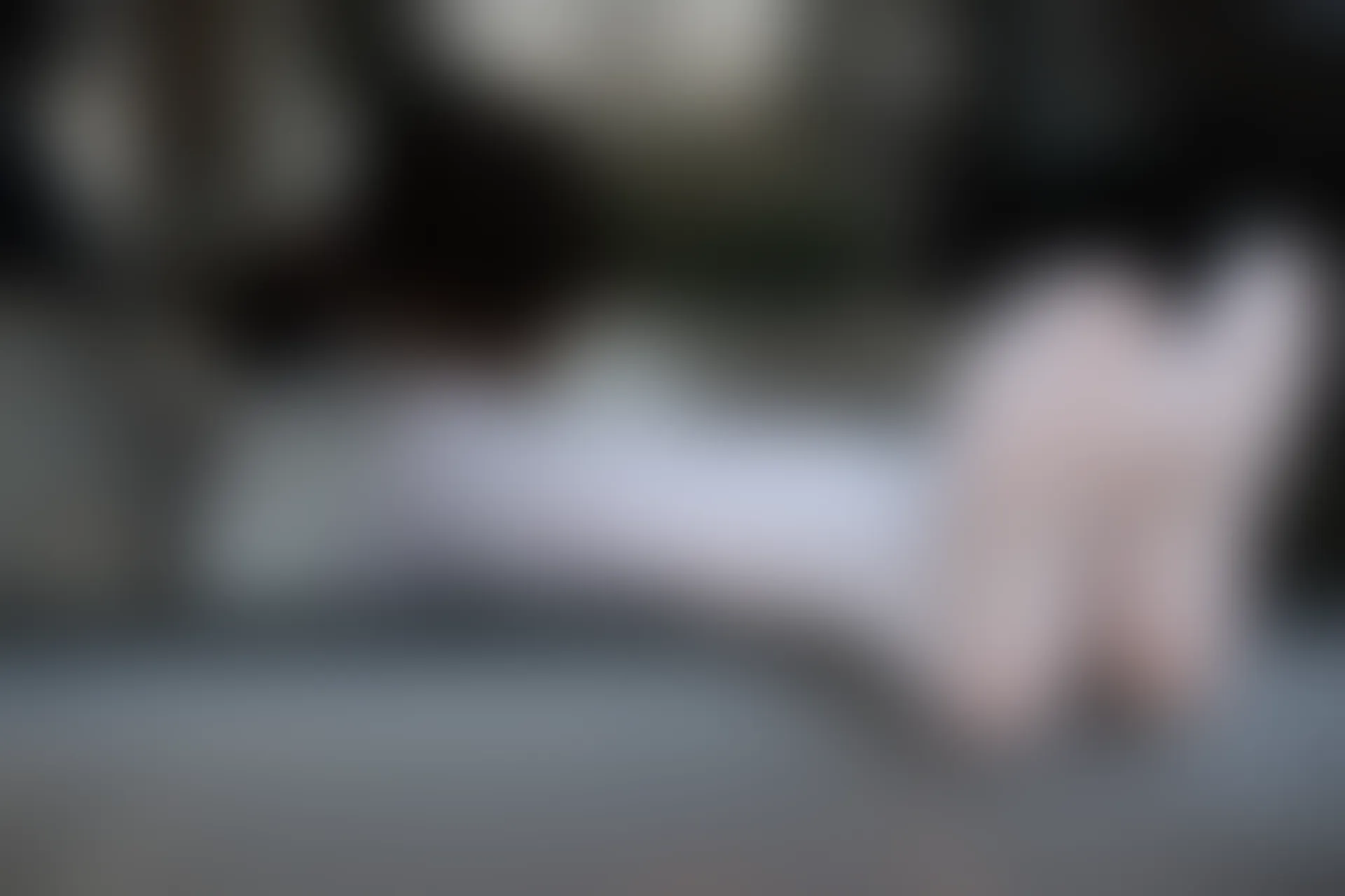 森萝财团 R15-023 [75P-495M]可爱, 学生装, 森萝财团, 白丝, 美腿
