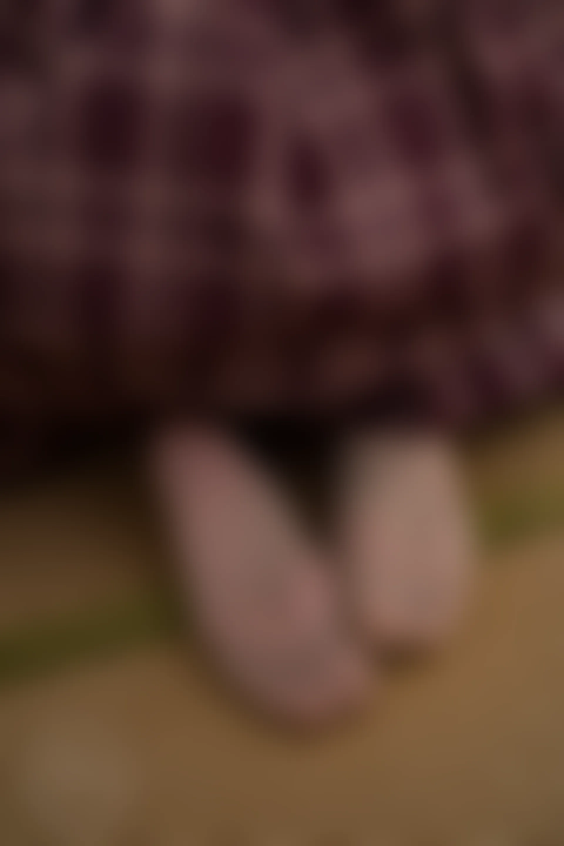 森萝财团 有料-03 [95P-1.19G]JK, 可爱, 学生装, 有料, 校服, 森萝财团, 美腿, 美足, 肉丝