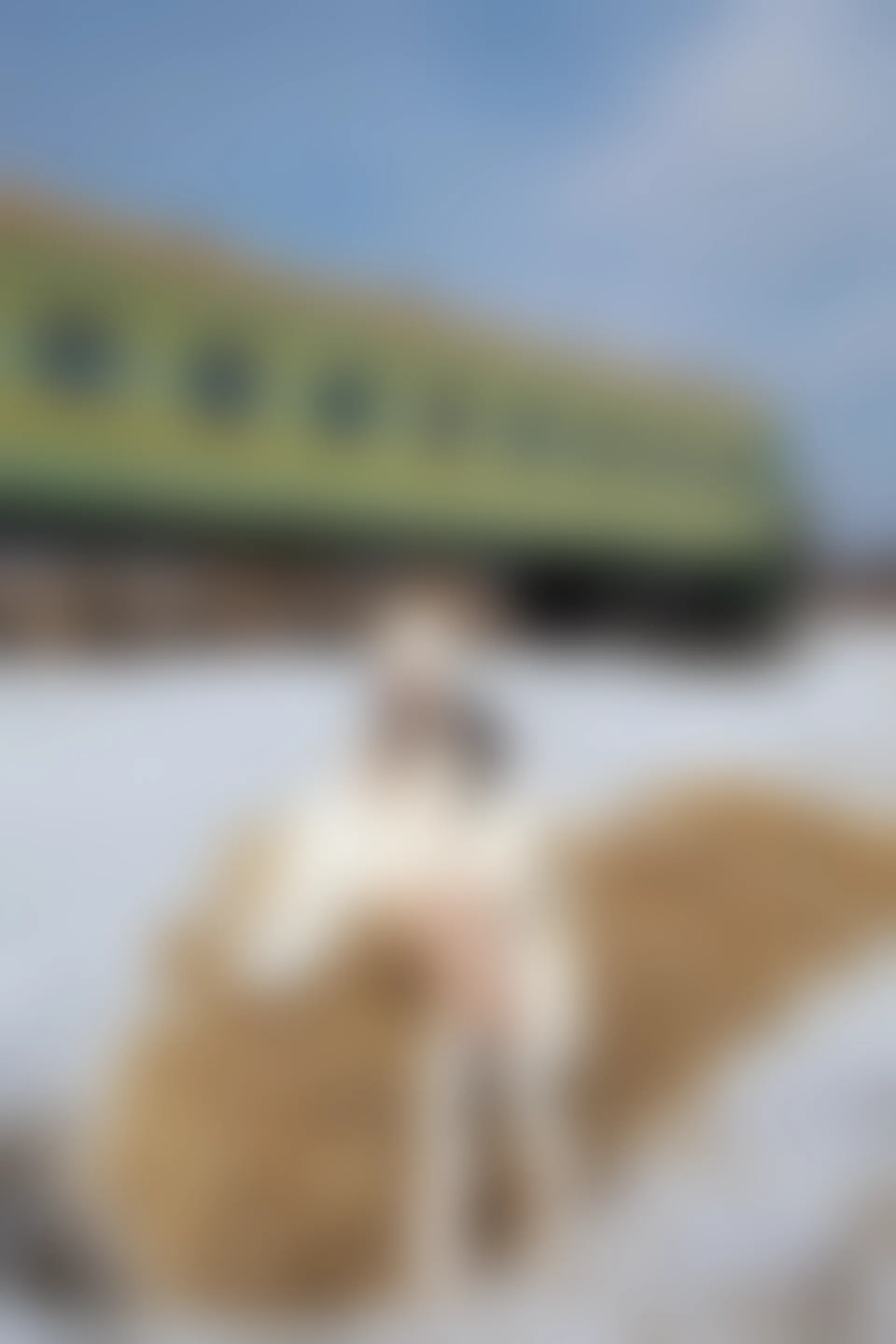 XiuRen秀人网 2022.03.30 No.4794 诗诗kiki 三亚旅拍[67+1P 703MB]