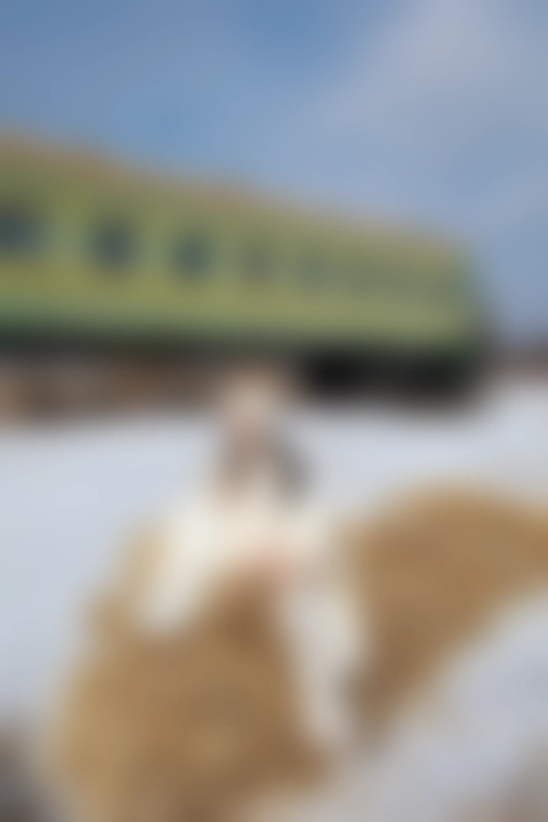 XiuRen秀人网 2022.03.30 No.4794 诗诗kiki 三亚旅拍[67+1P 703MB]