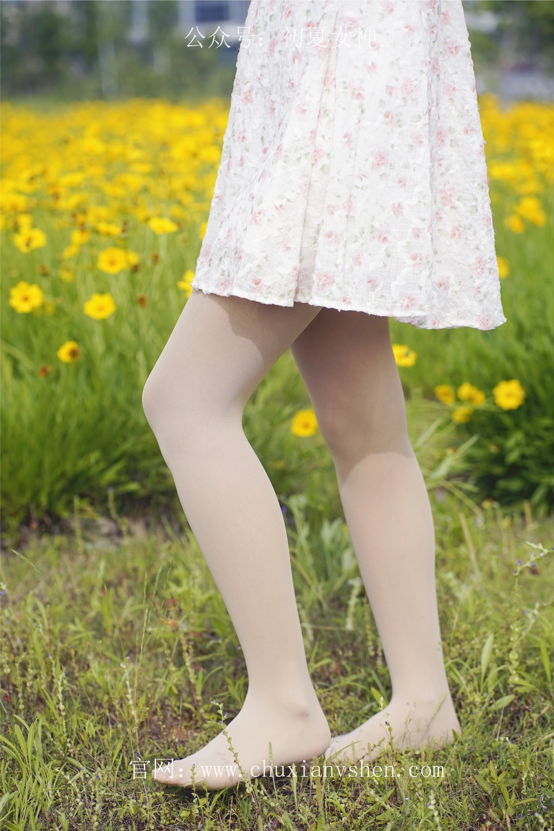 初夏女神 NO.070 依依 邻家女孩-风中少女[122P+1V／4.65GB]