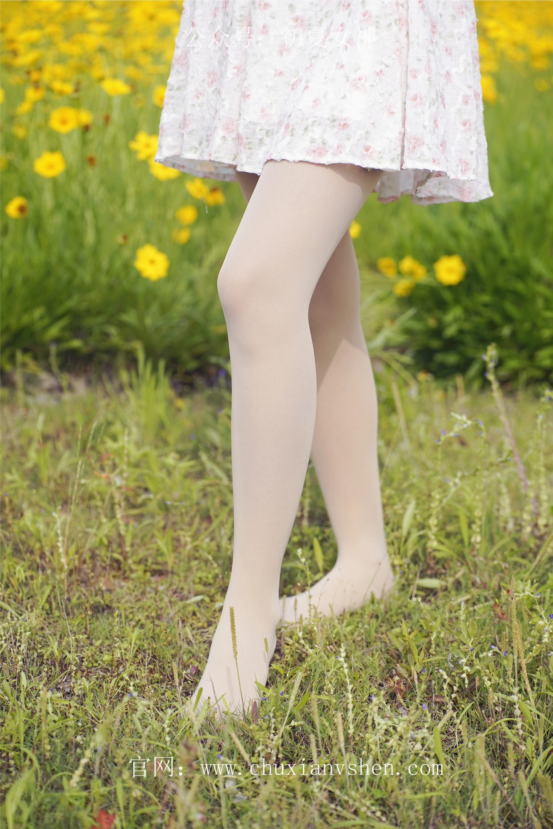 初夏女神 NO.070 依依 邻家女孩-风中少女[122P+1V／4.65GB]