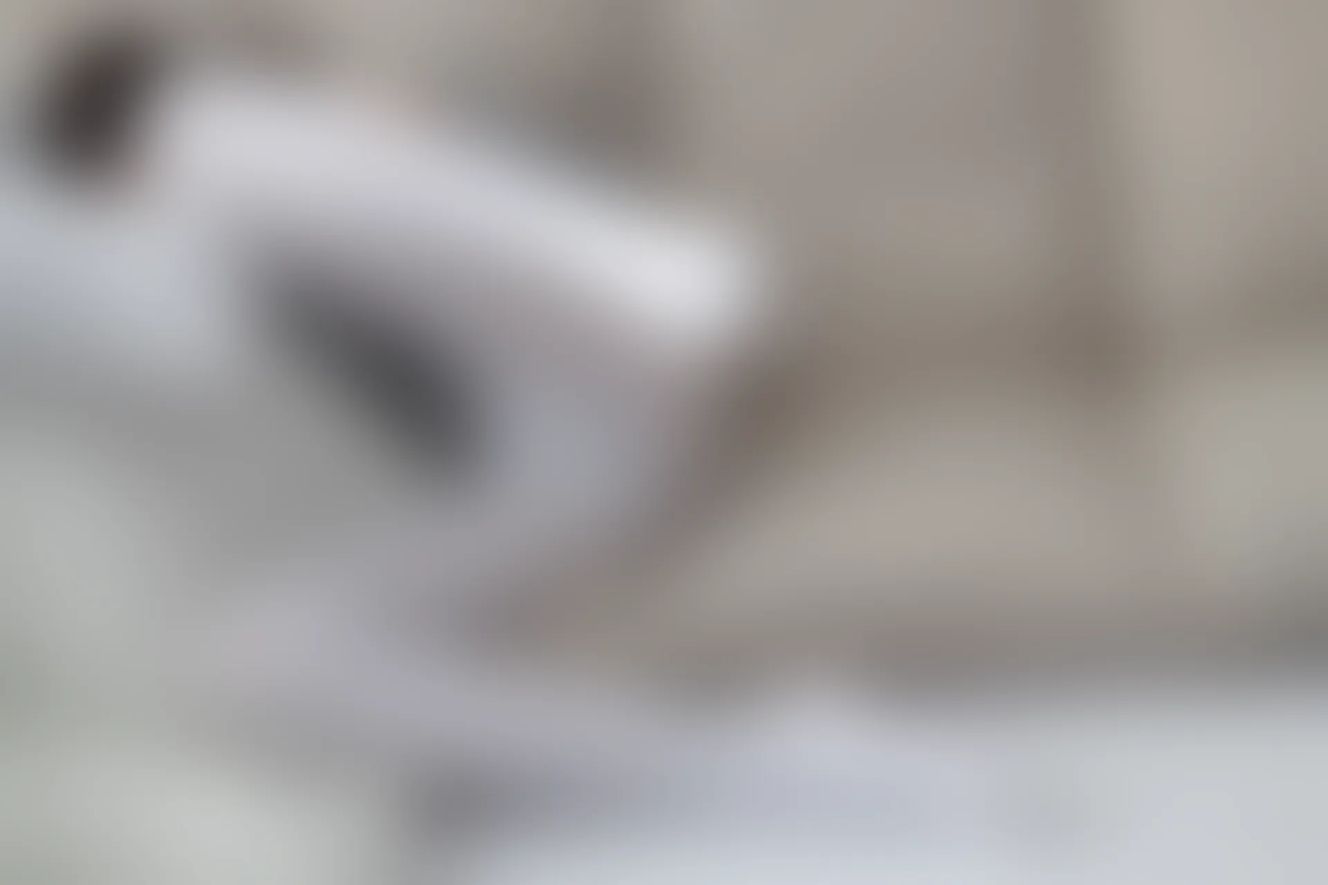 爱花写真 ALPHA-016 [141P-1.85G]可爱, 森萝财团, 爱花写真, 白丝, 美腿