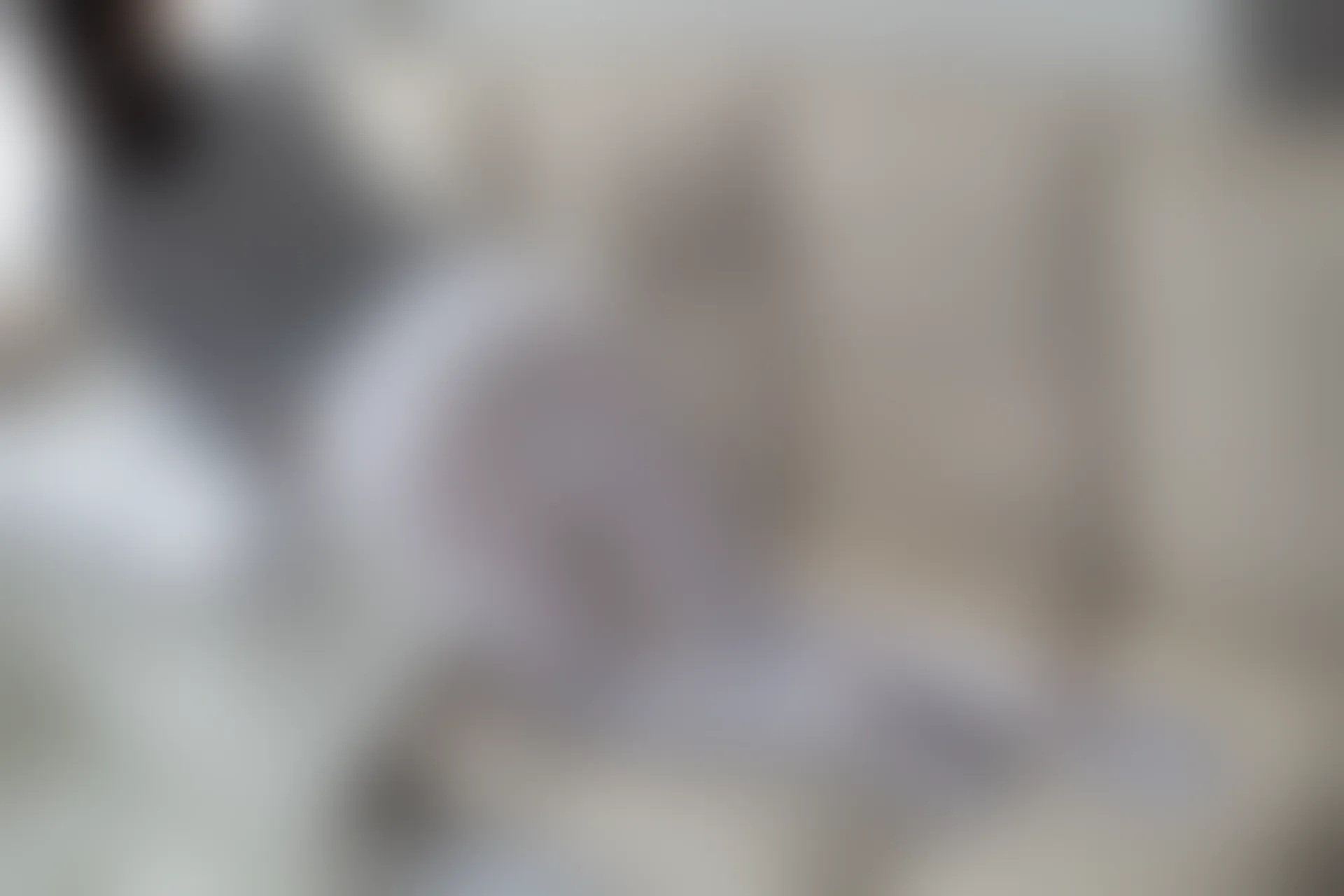 爱花写真 ALPHA-016 [141P-1.85G]可爱, 森萝财团, 爱花写真, 白丝, 美腿