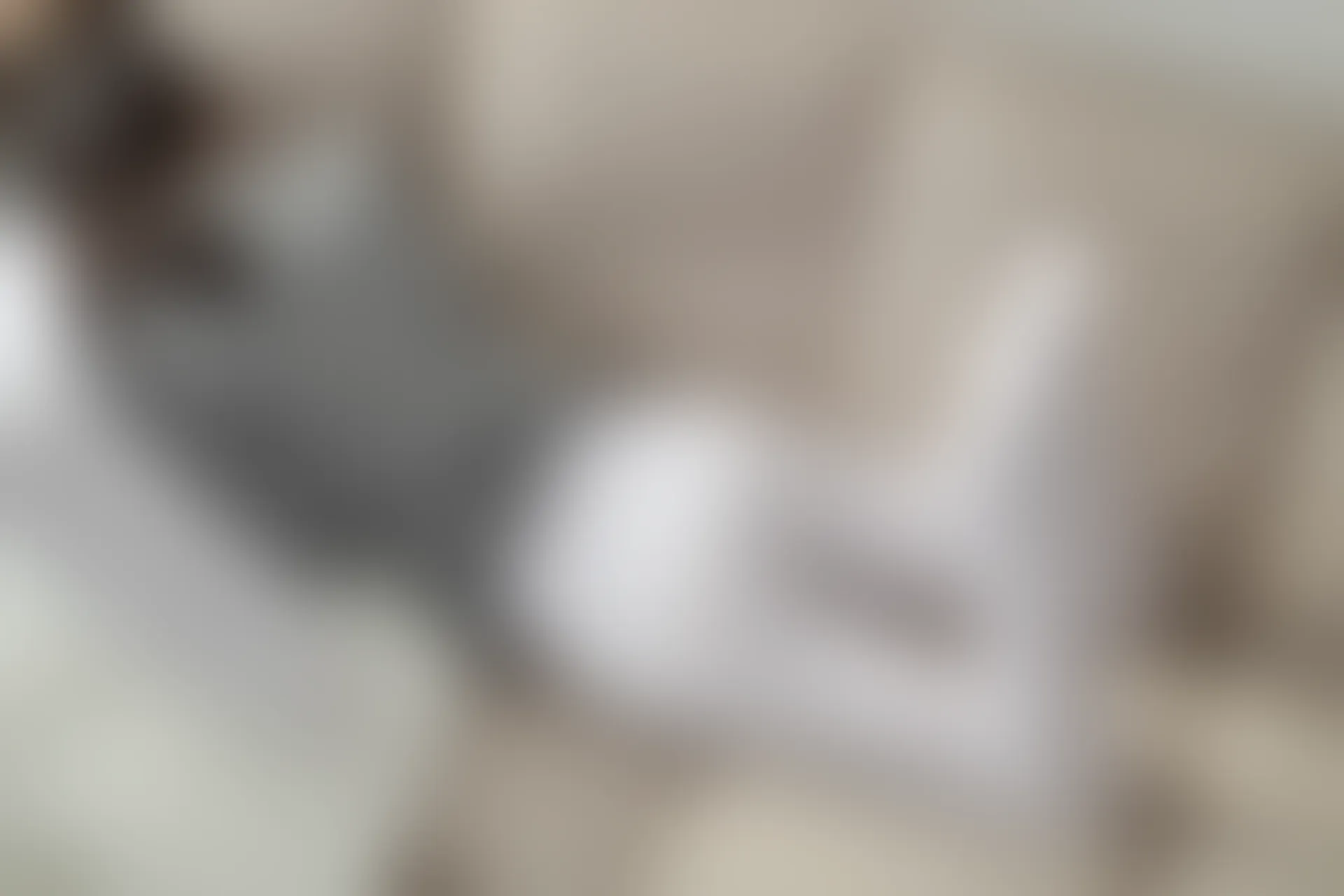 爱花写真 ALPHA-016 [141P-1.85G]可爱, 森萝财团, 爱花写真, 白丝, 美腿