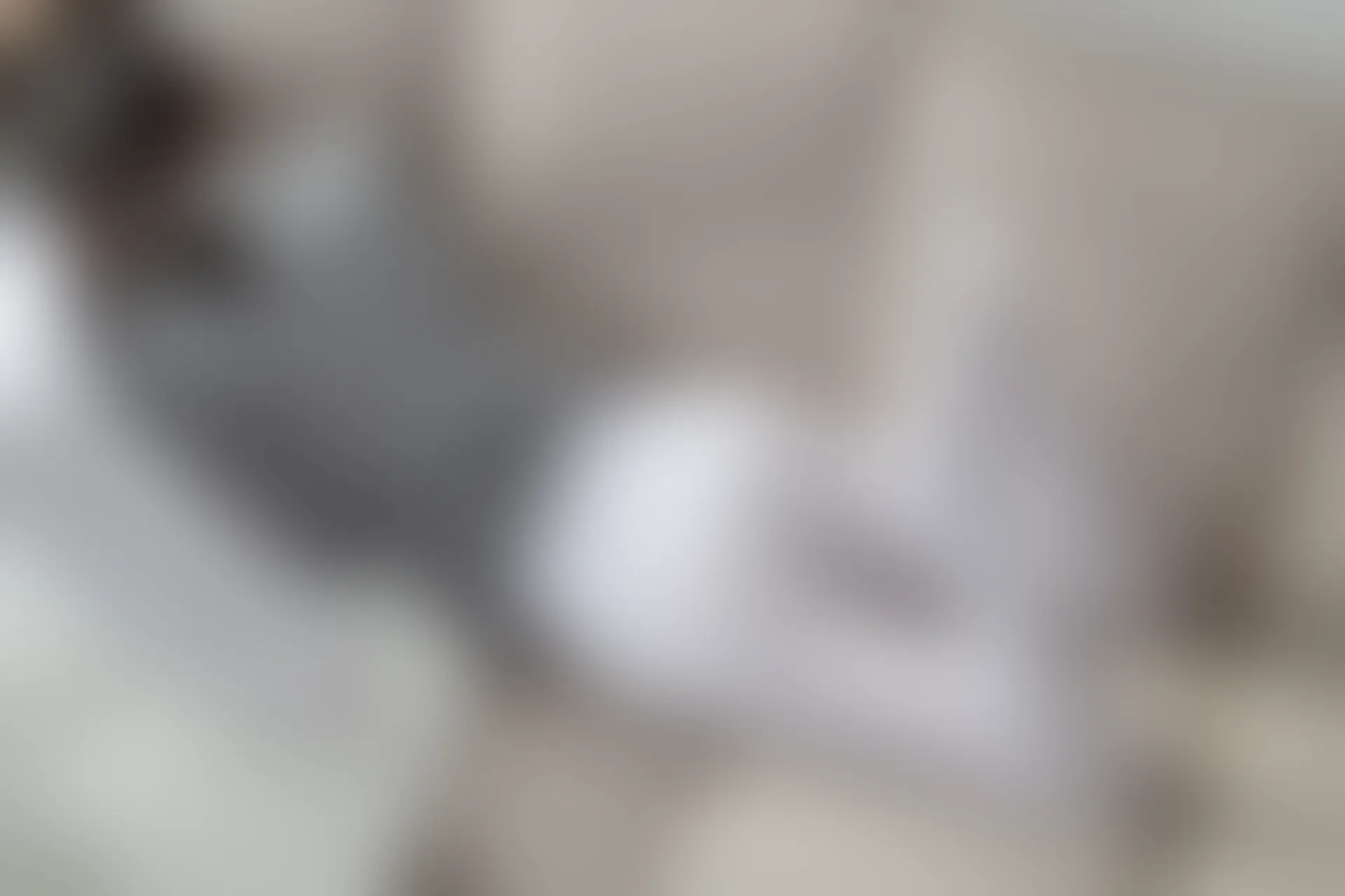 爱花写真 ALPHA-016 [141P-1.85G]可爱, 森萝财团, 爱花写真, 白丝, 美腿