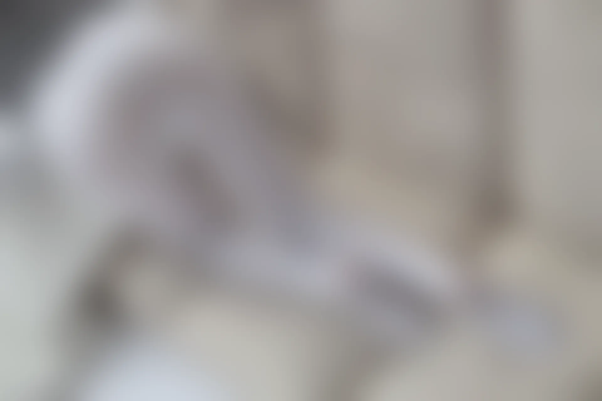 爱花写真 ALPHA-016 [141P-1.85G]可爱, 森萝财团, 爱花写真, 白丝, 美腿