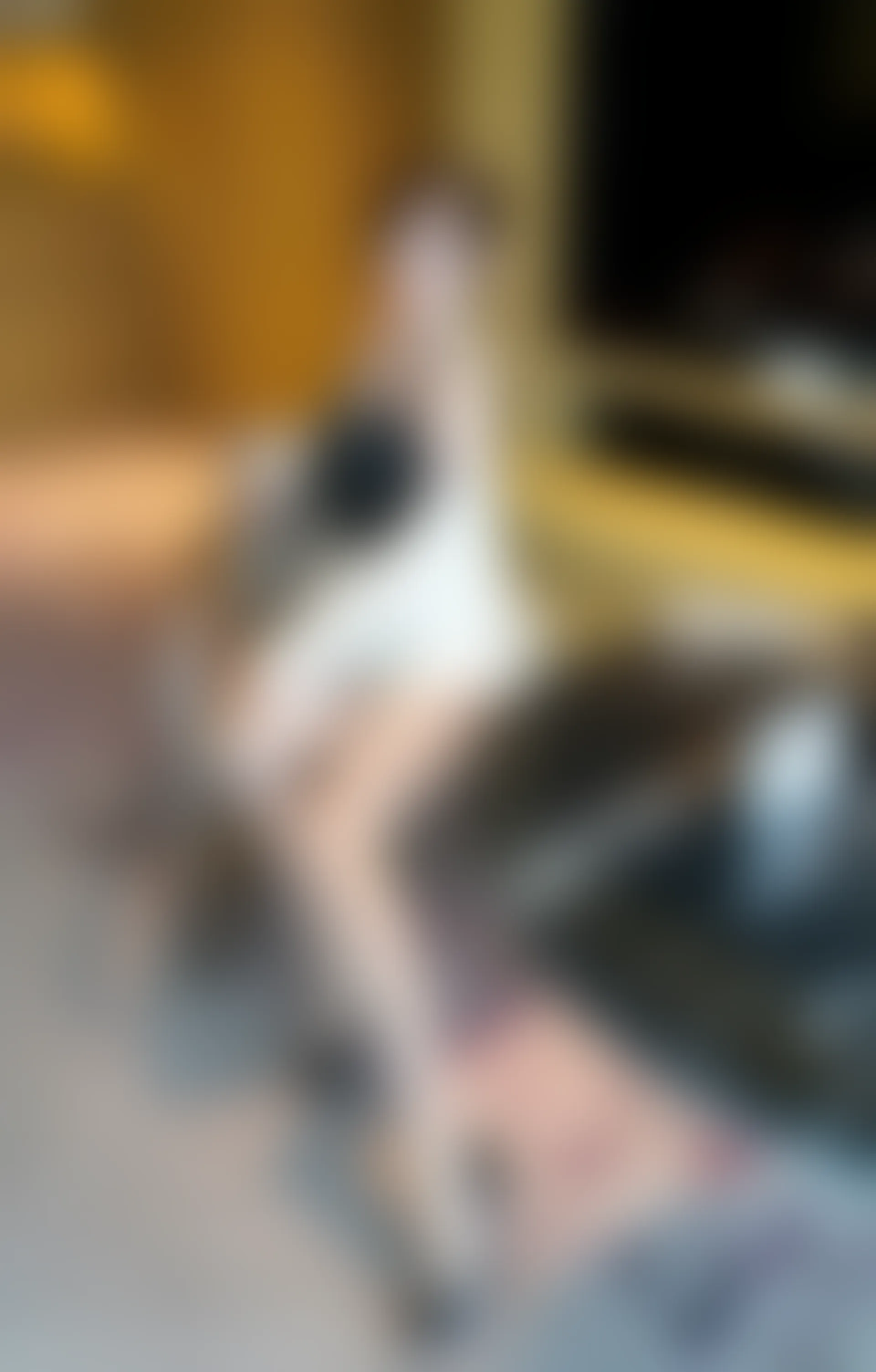 XiuRen秀人网 2022.04.19 No.4885 白茹雪 丝袜美臀 [71+1P725M]