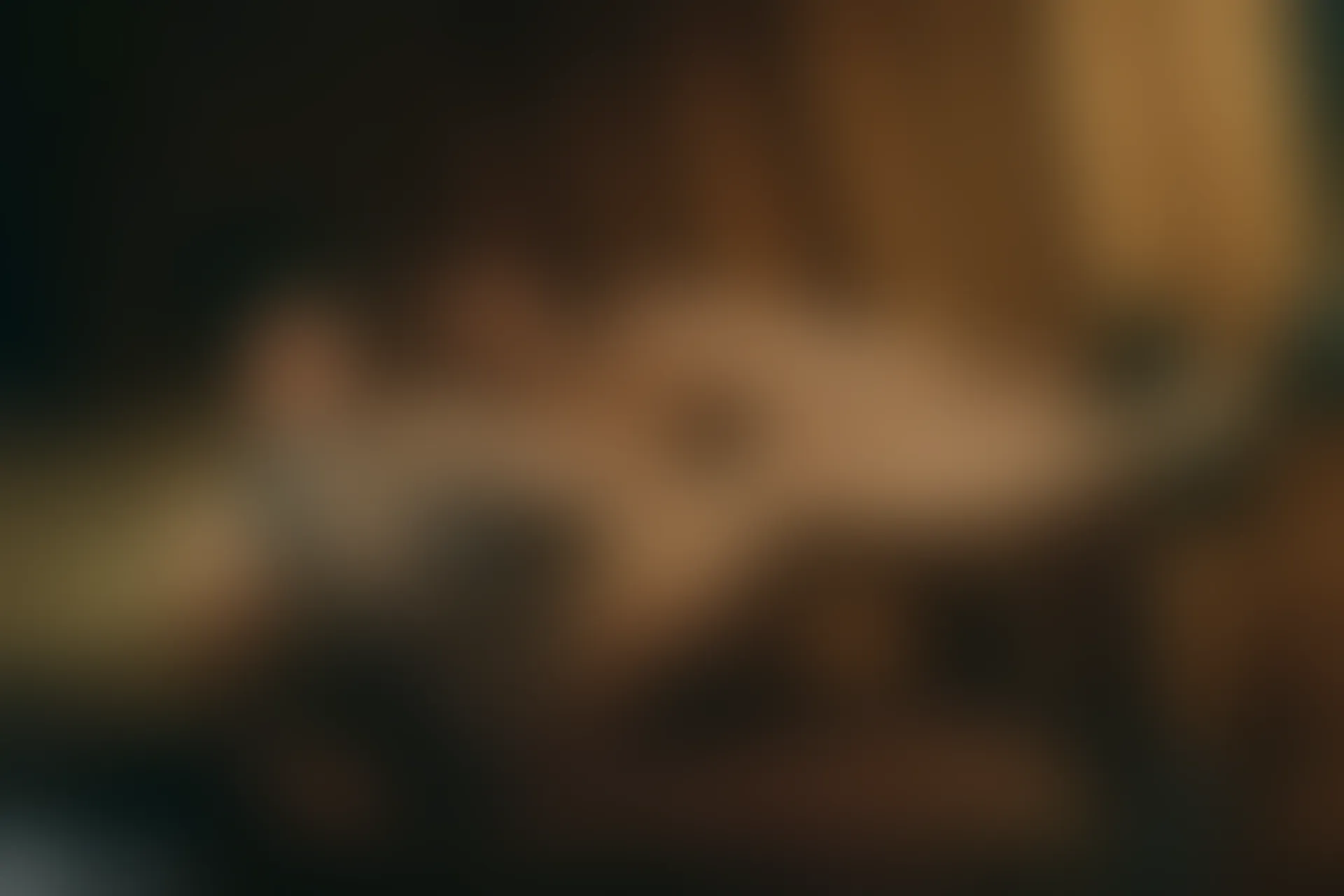 C14.008 珠光宝气 [39P-542MB]