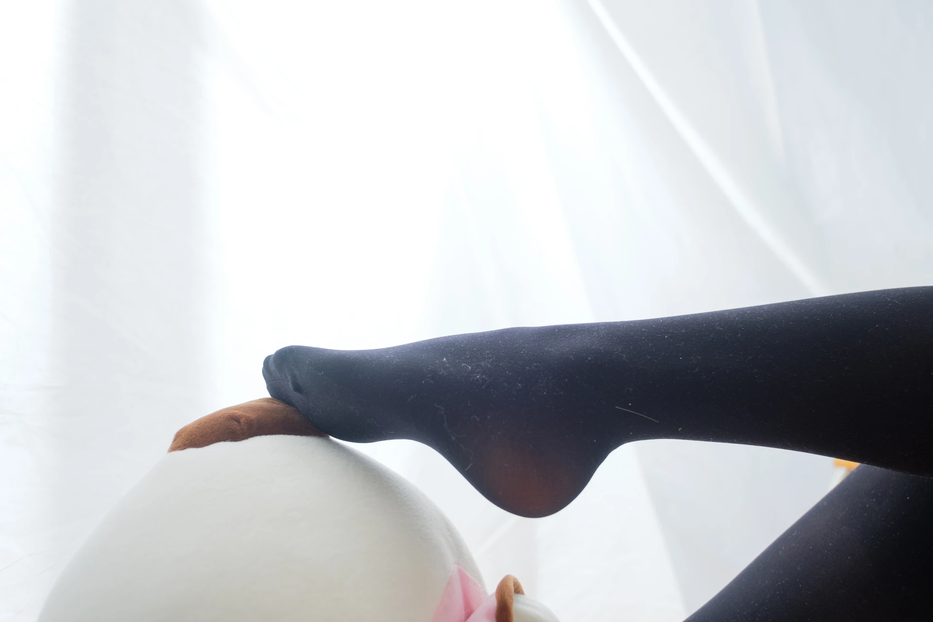 喵写真 R15-002 [90P1V-767M]可爱, 喵写真, 美腿, 黑丝