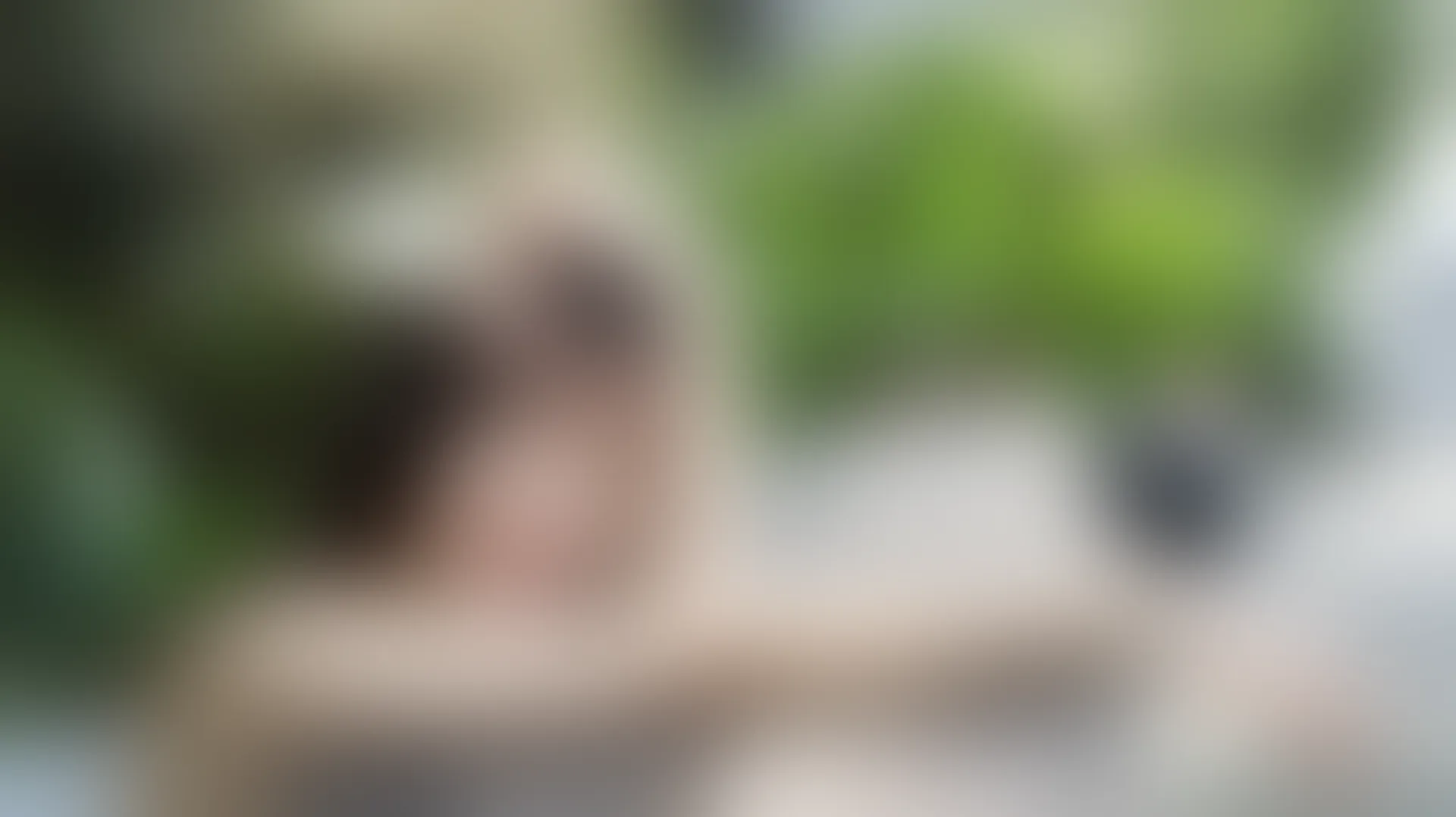 XIUREN秀人网 2019.12.30 NO.1892 艺儿拿铁[55+1P／85.8M]