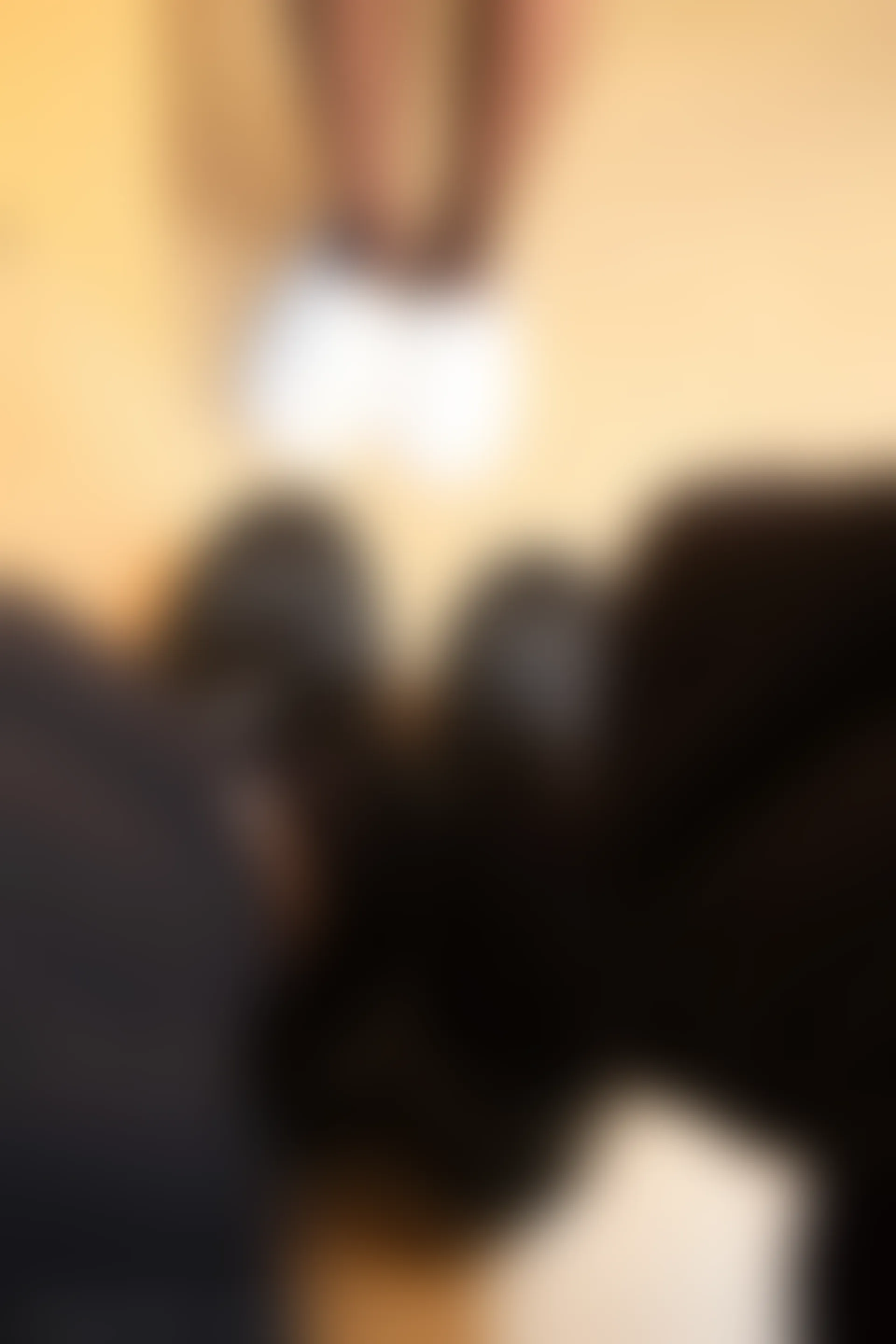 XiuRen秀人网 2021.12.14 No.4334 一颗甜蛋黄a 黑丝美腿[80+1P 763MB]