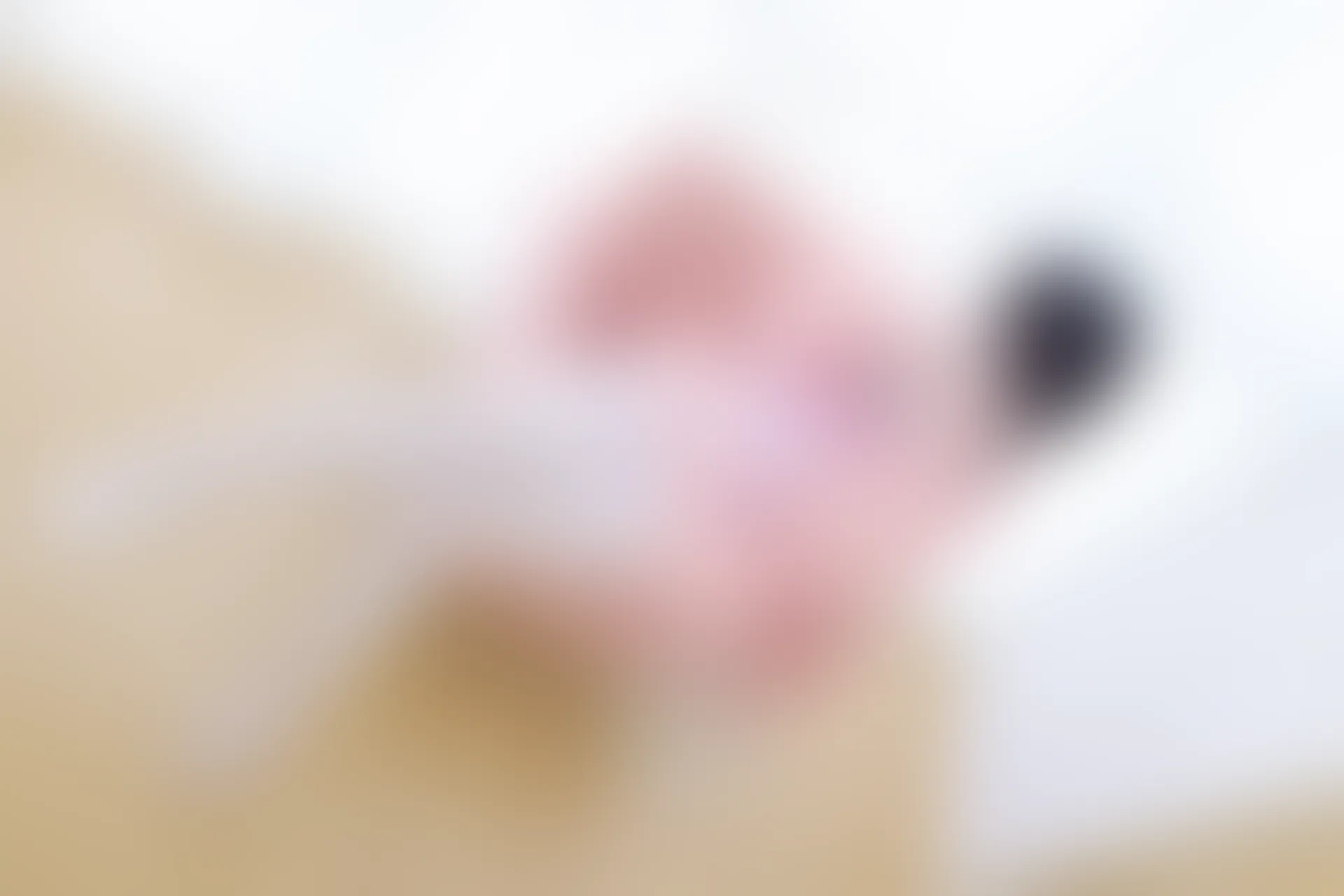 少女秩序 EX.13 小葵 白丝小可爱 [66P-1.09GB]可爱, 小葵, 少女秩序, 白丝, 美腿, 美足