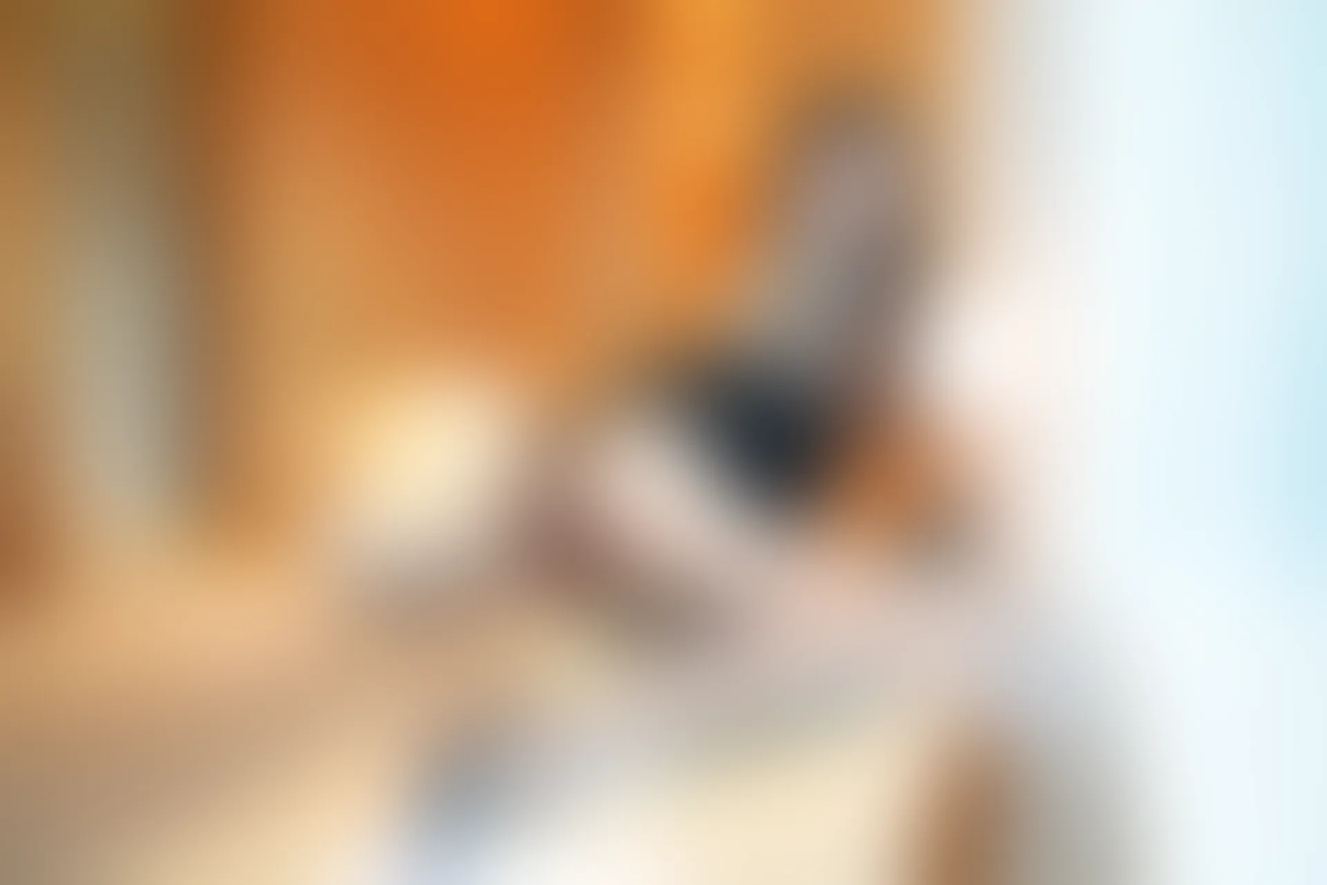 XiuRen秀人网 2021.10.27 No.4124 葛征 净高184cm[50+1P／542MB]