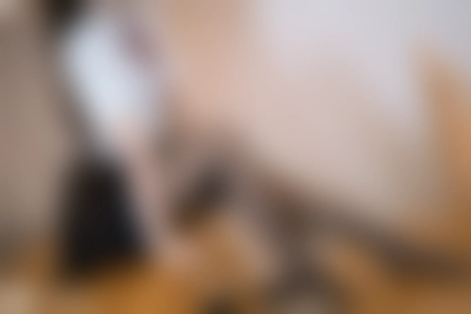 D64.006 兔玩映画 黑丝JK小姐姐 [40P-432MB]