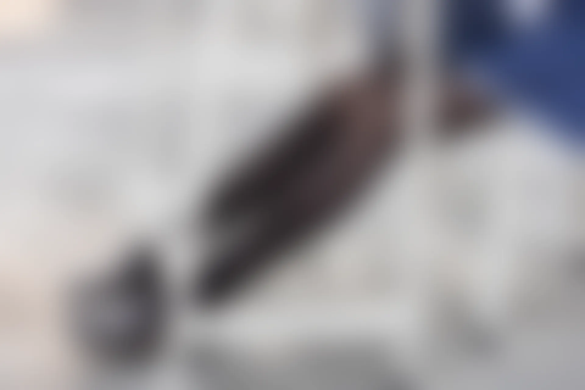 森萝财团 X-043 [110P1V-2.12G]Aika, 制服, 学生装, 森萝财团, 美腿, 黑丝